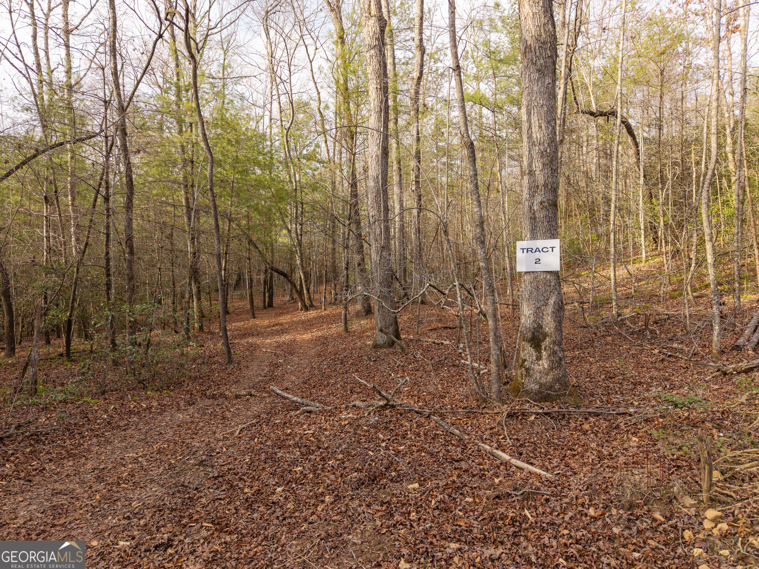 Trail 2 East New Hope Road Ellijay GA 30536
