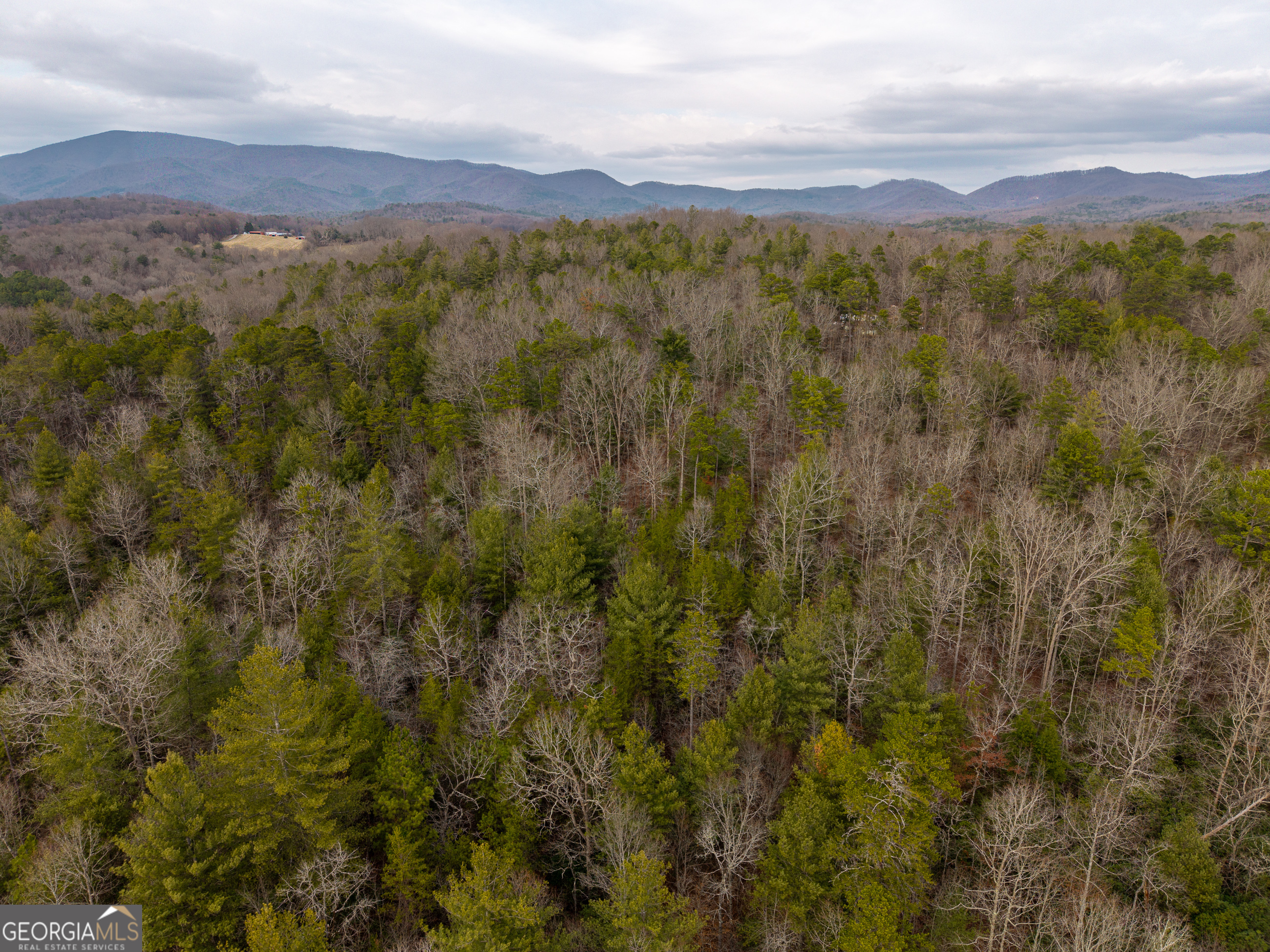 Trail 2 East New Hope Road Ellijay GA 30536