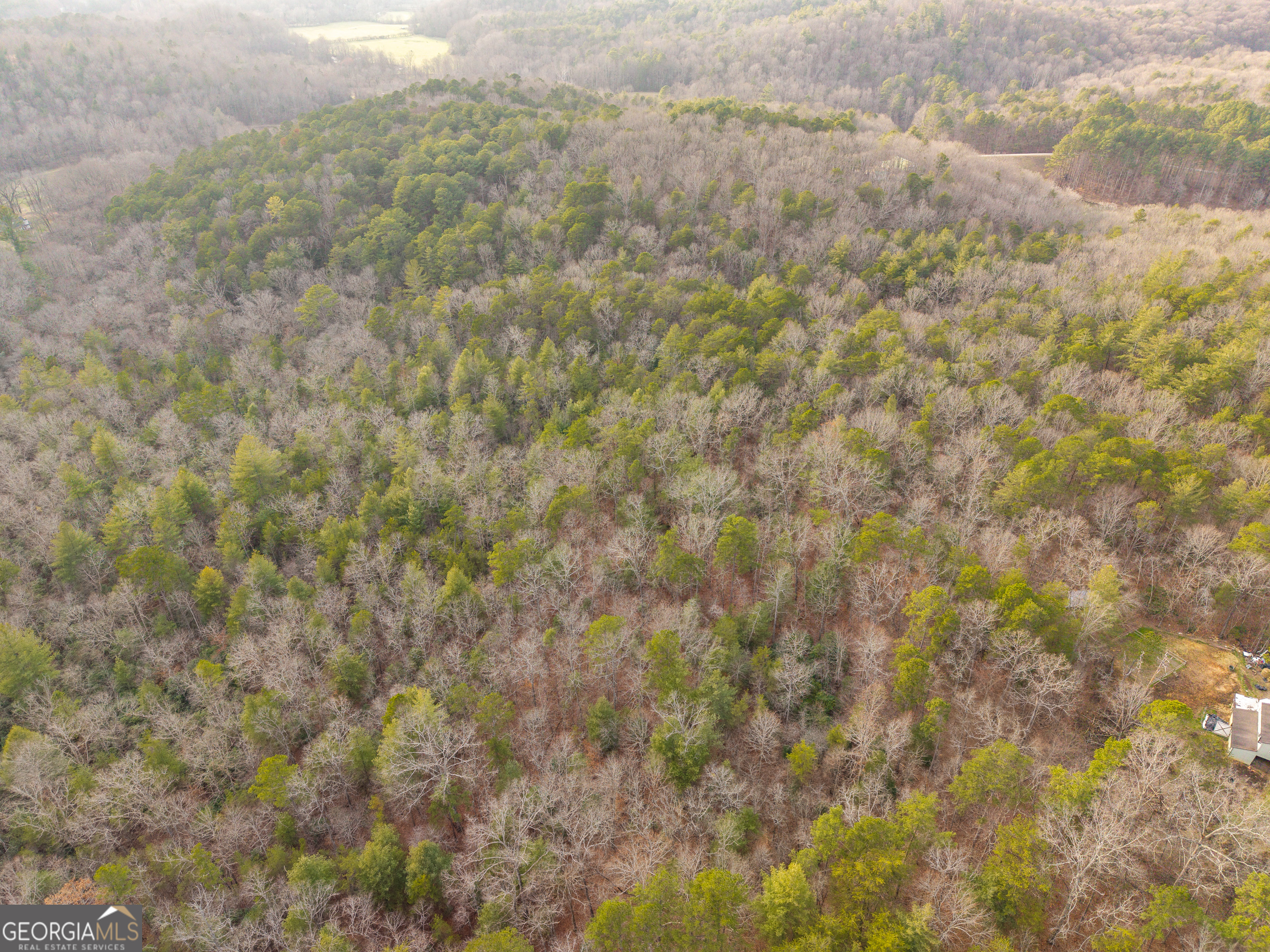 Trail 2 East New Hope Road Ellijay GA 30536