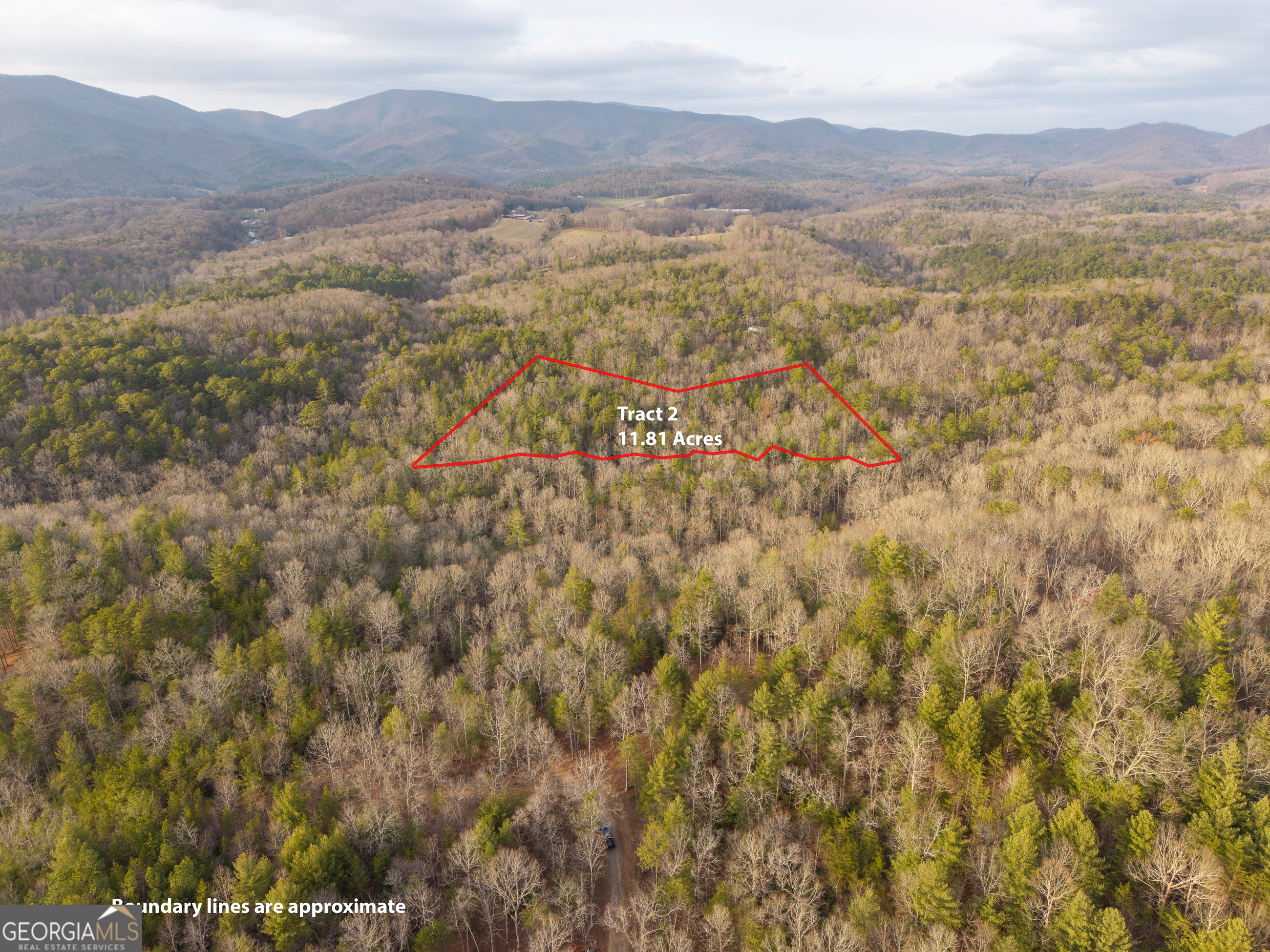Trail 2 East New Hope Road Ellijay GA 30536