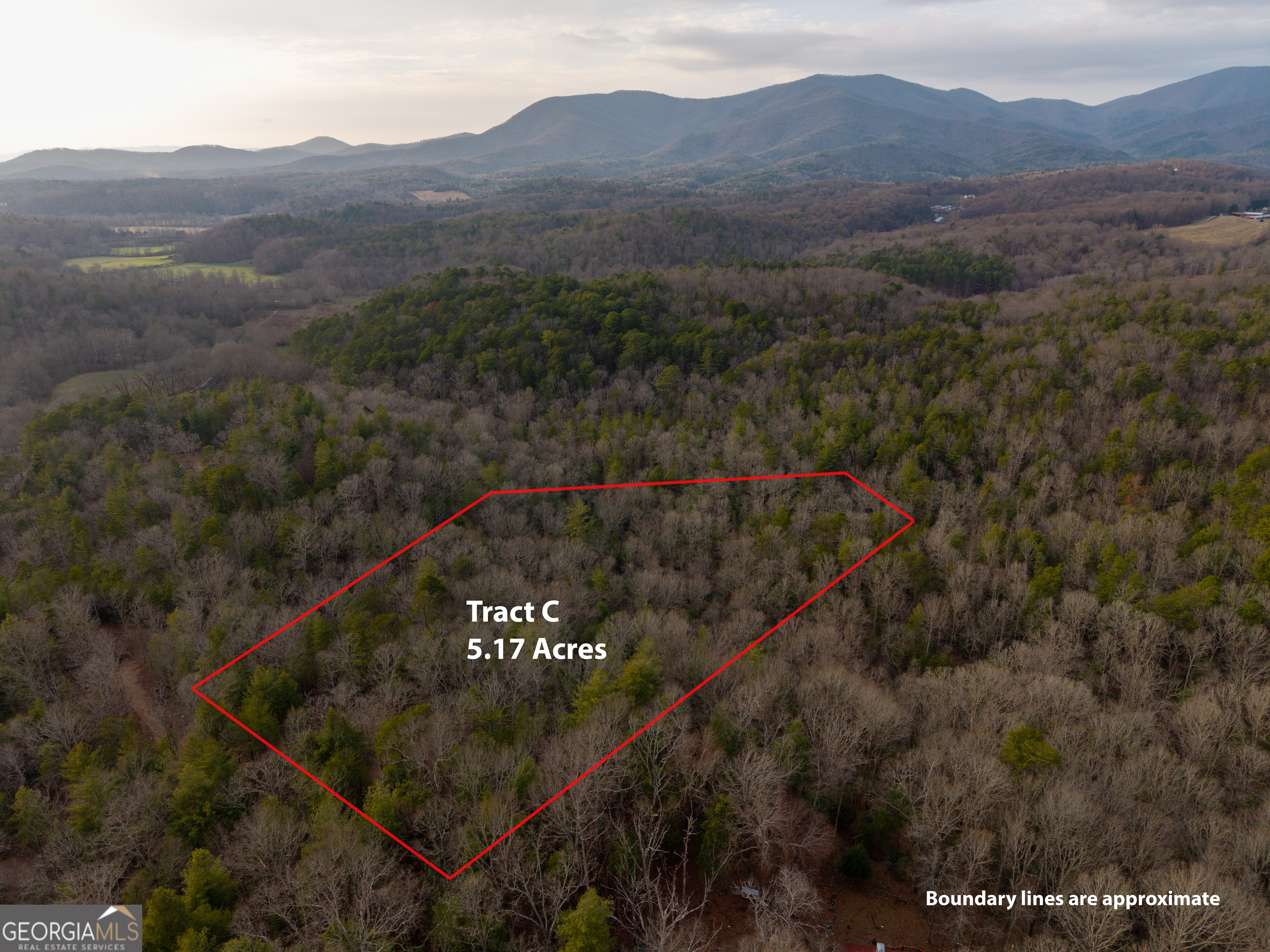 Trail 2 East New Hope Road Ellijay GA 30536