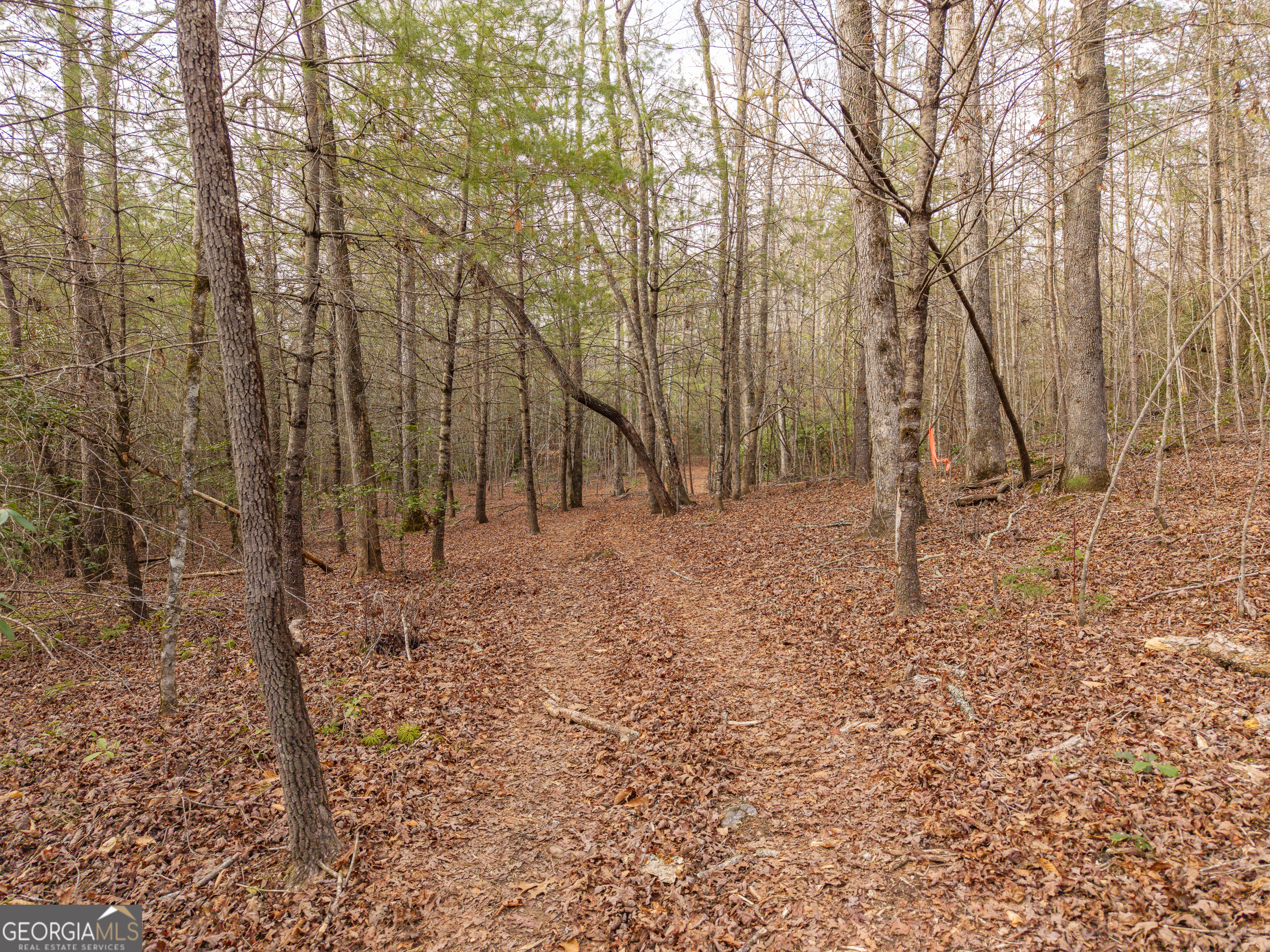 Trail 2 East New Hope Road Ellijay GA 30536