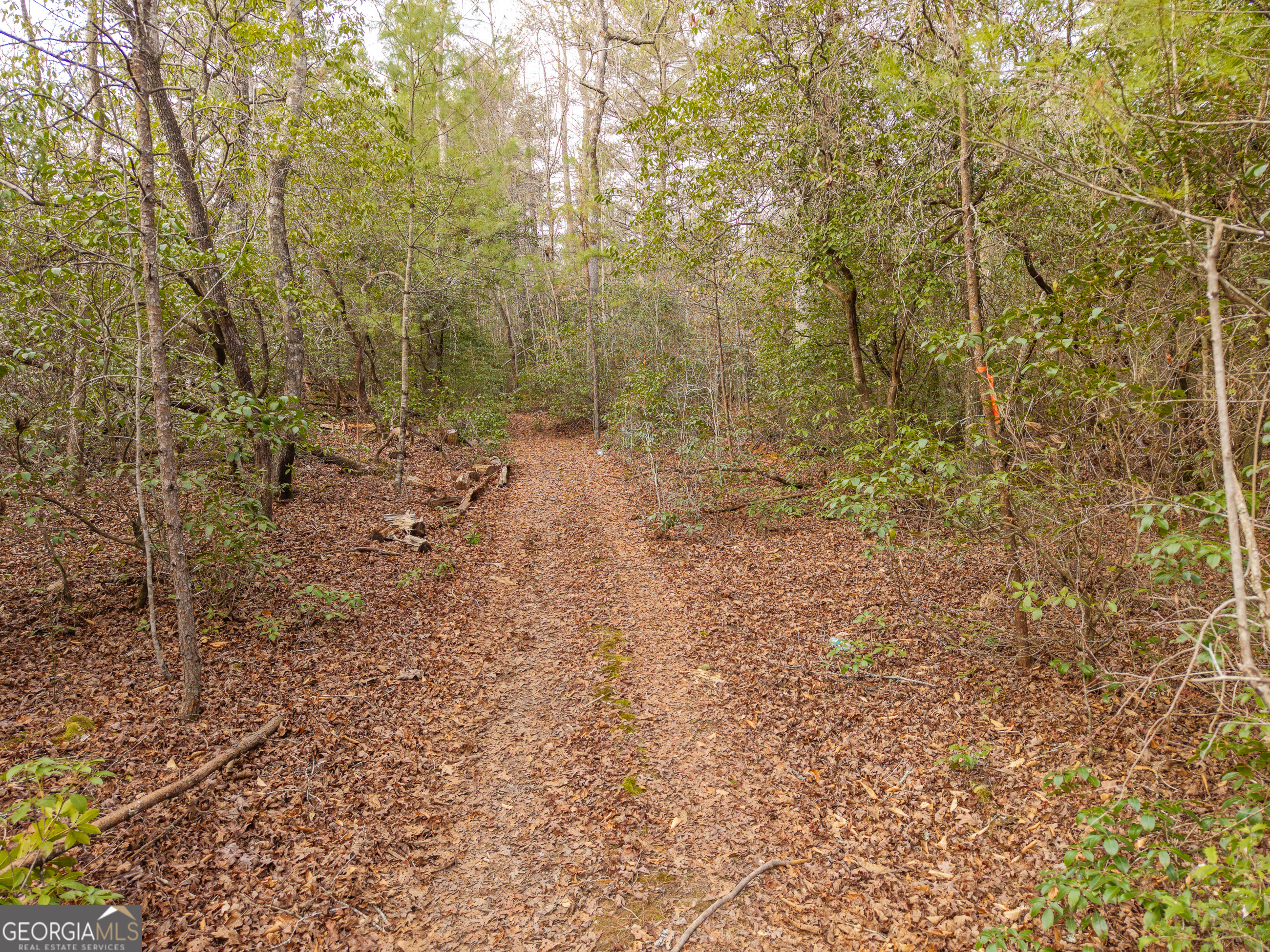 Trail 2 East New Hope Road Ellijay GA 30536