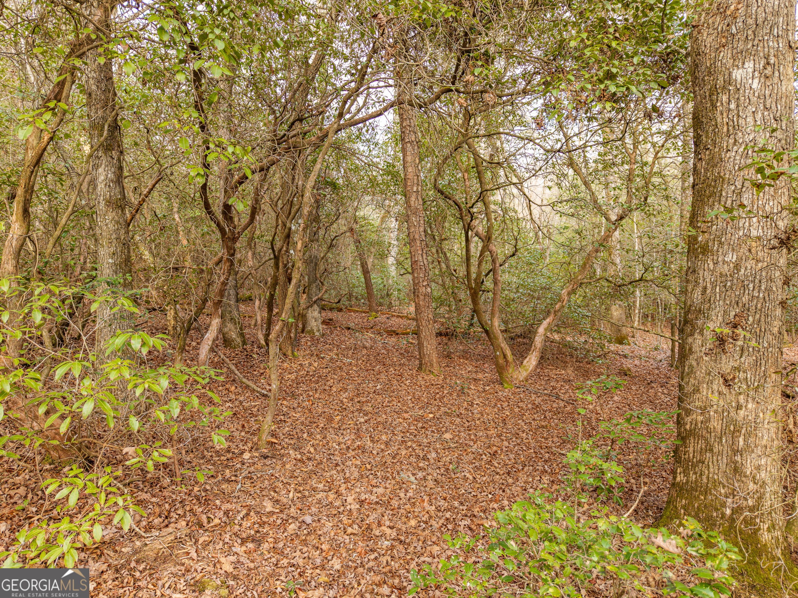 Trail 2 East New Hope Road Ellijay GA 30536