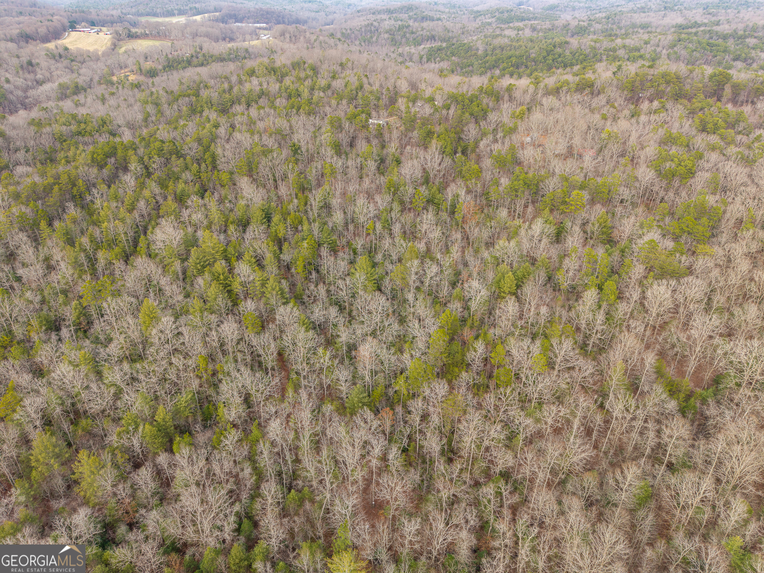 Trail 2 East New Hope Road Ellijay GA 30536
