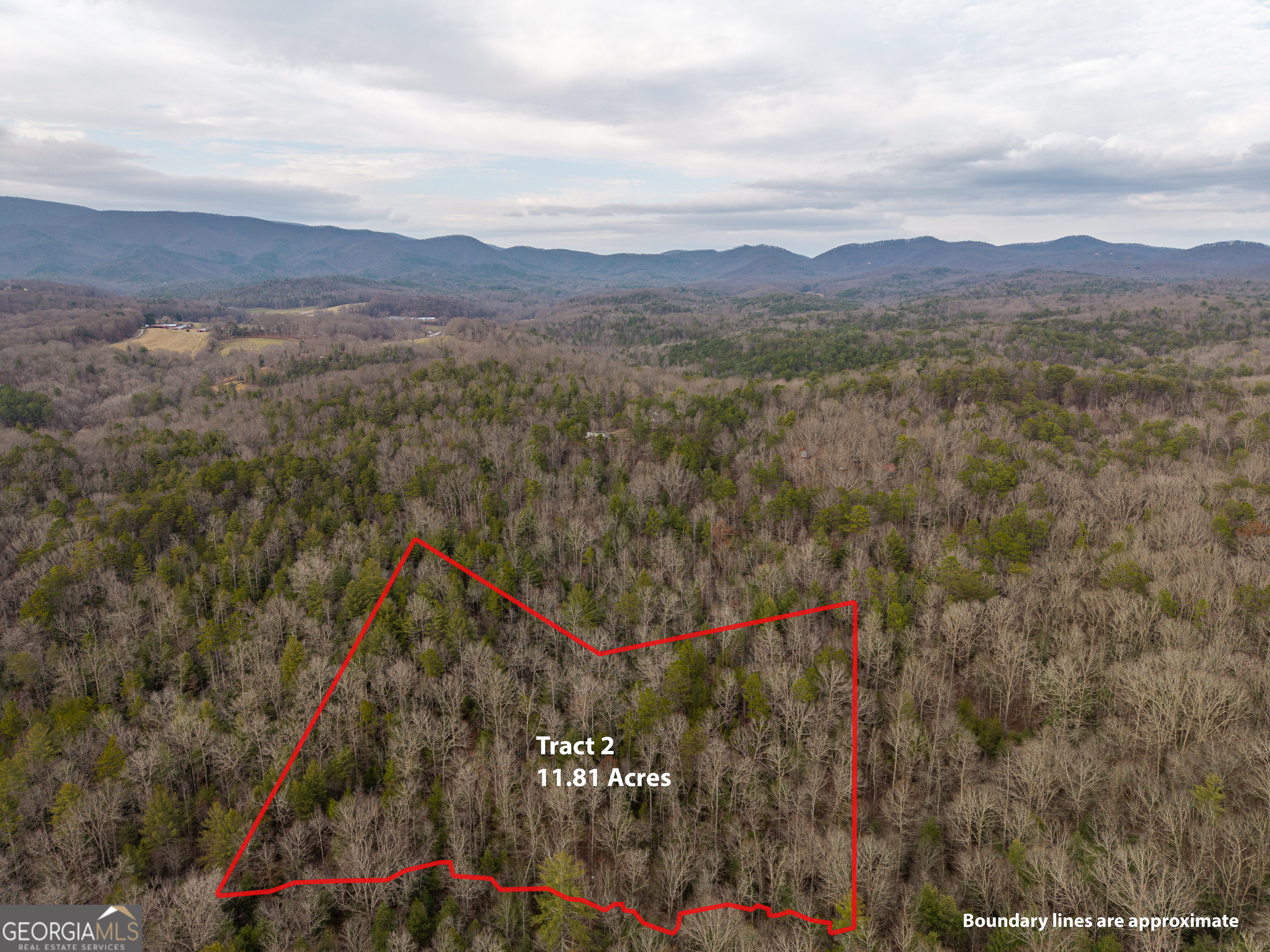 Trail 2 East New Hope Road Ellijay GA 30536