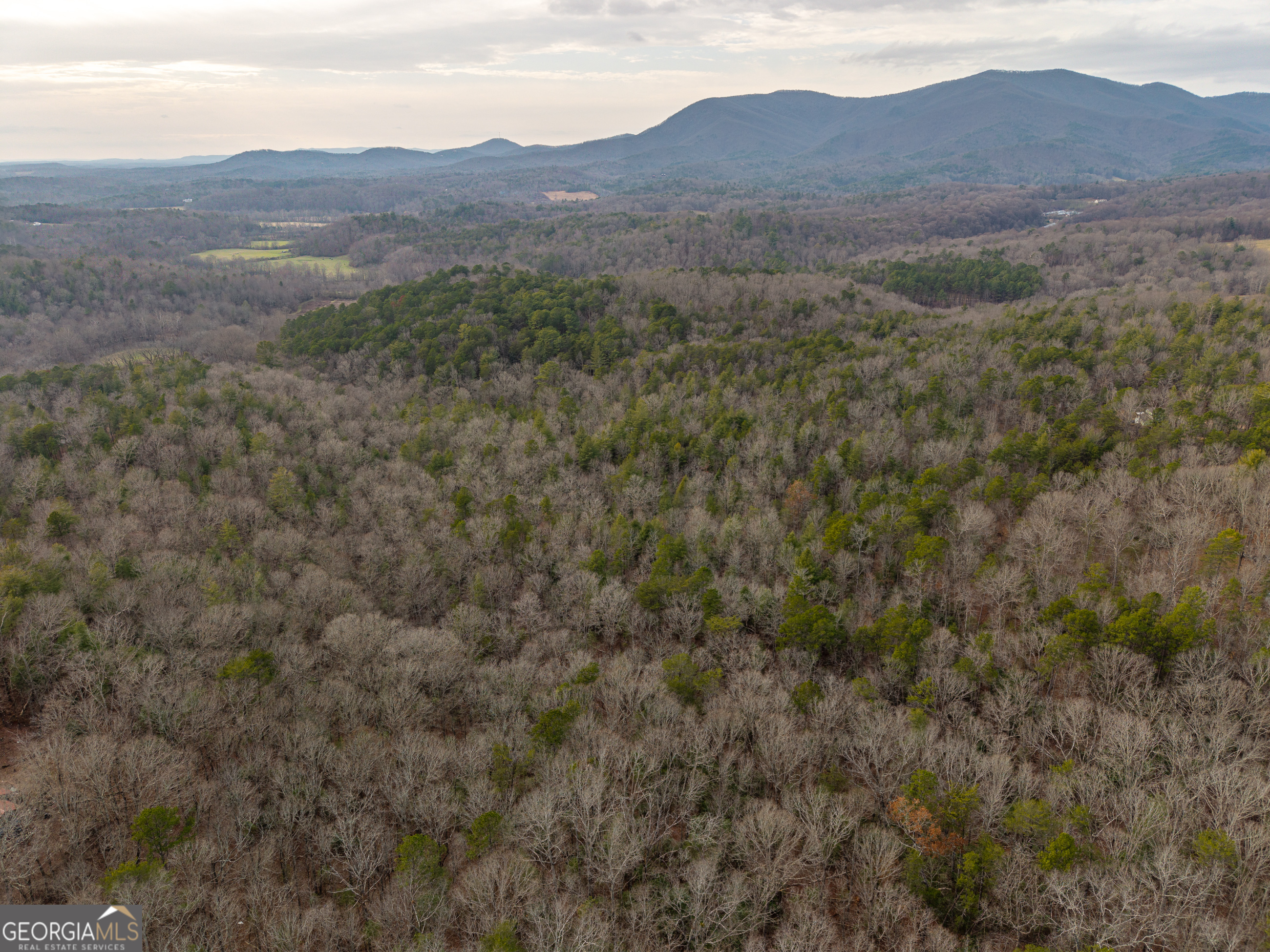 Trail 2 East New Hope Road Ellijay GA 30536