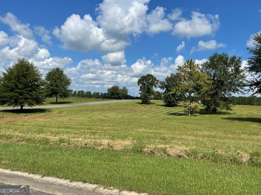 0 Thompson Level Road Lyons GA 30436