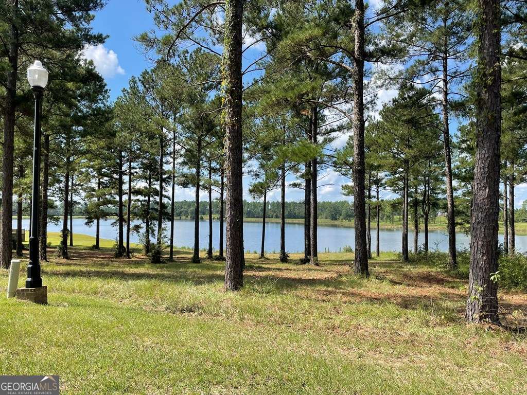 0 Thompson Level Road Lyons GA 30436
