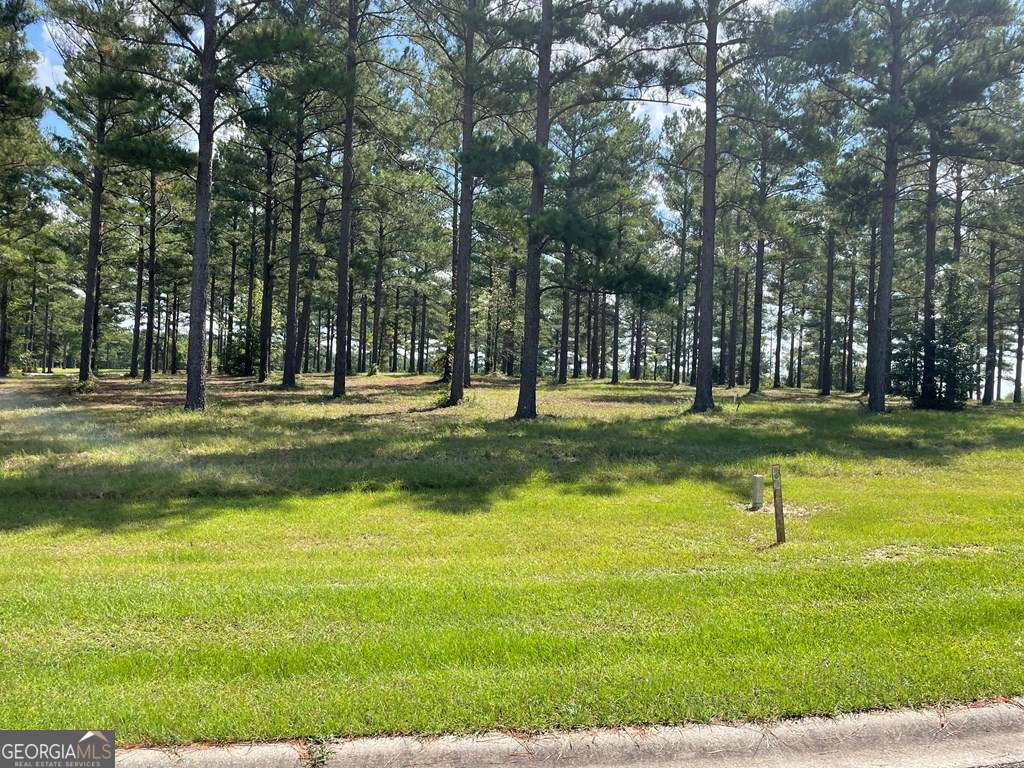 0 Thompson Level Road Lyons GA 30436