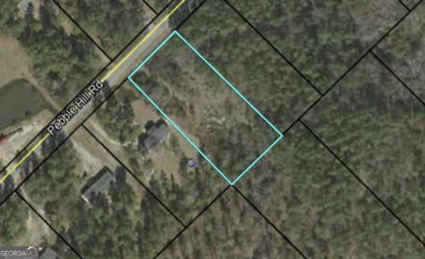 0 Pebble Hills Road Cochran GA 31014