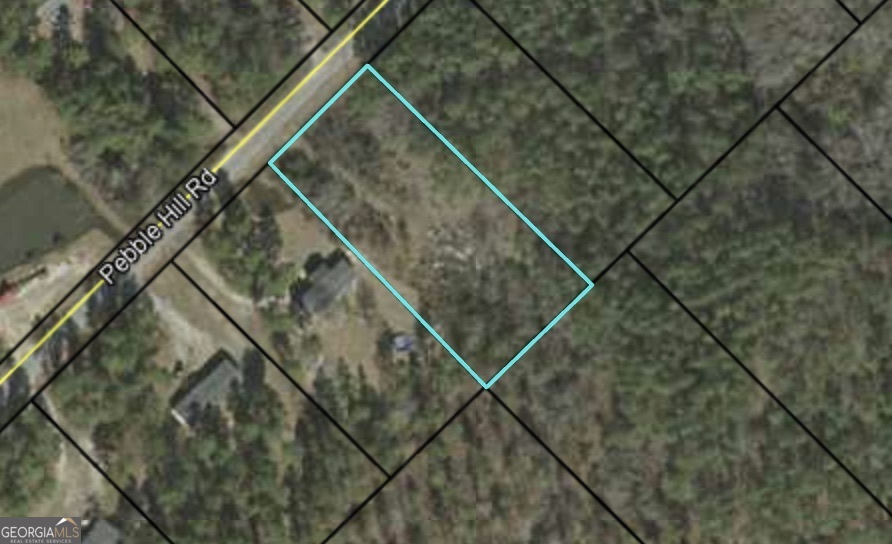 0 Pebble Hills Road Cochran GA 31014