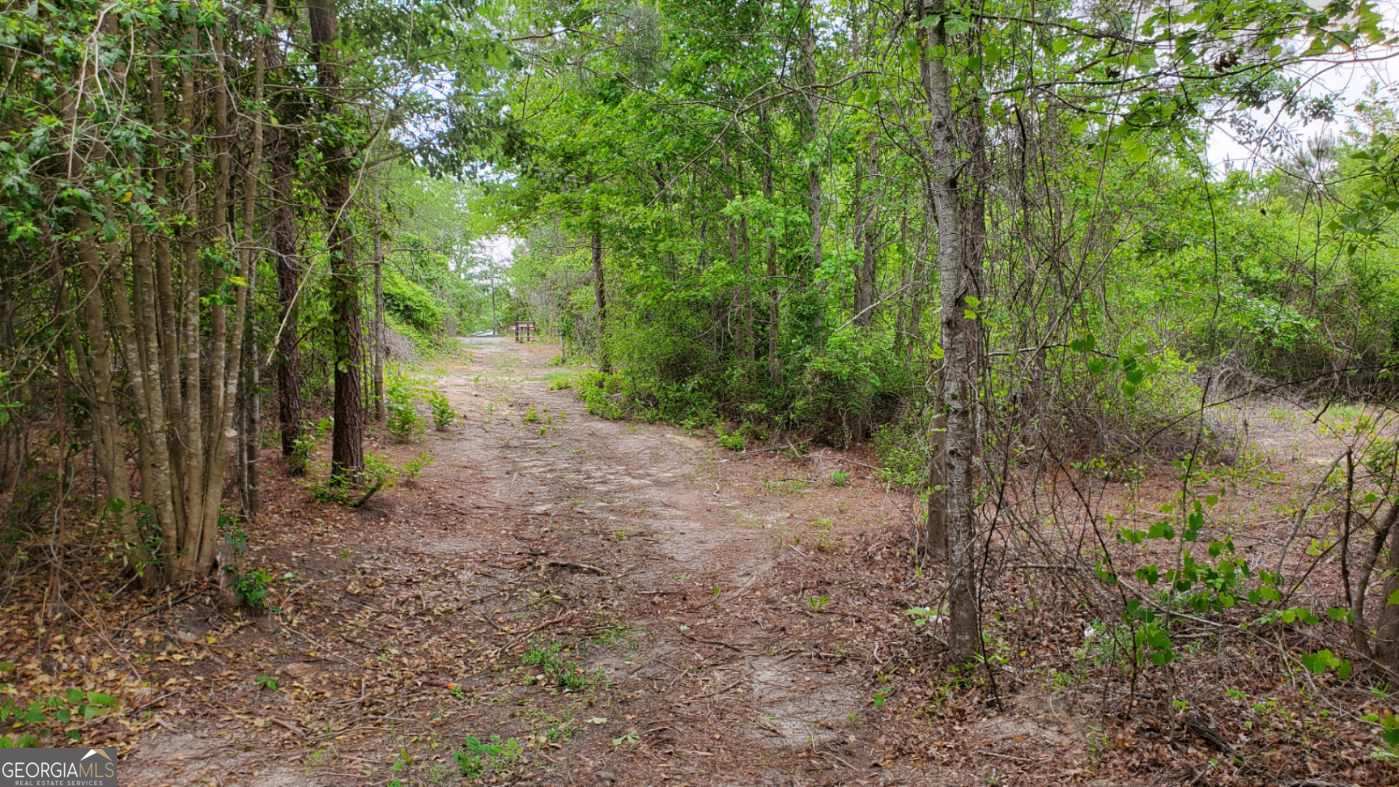 ----- Sr 19 Dublin GA 31021
