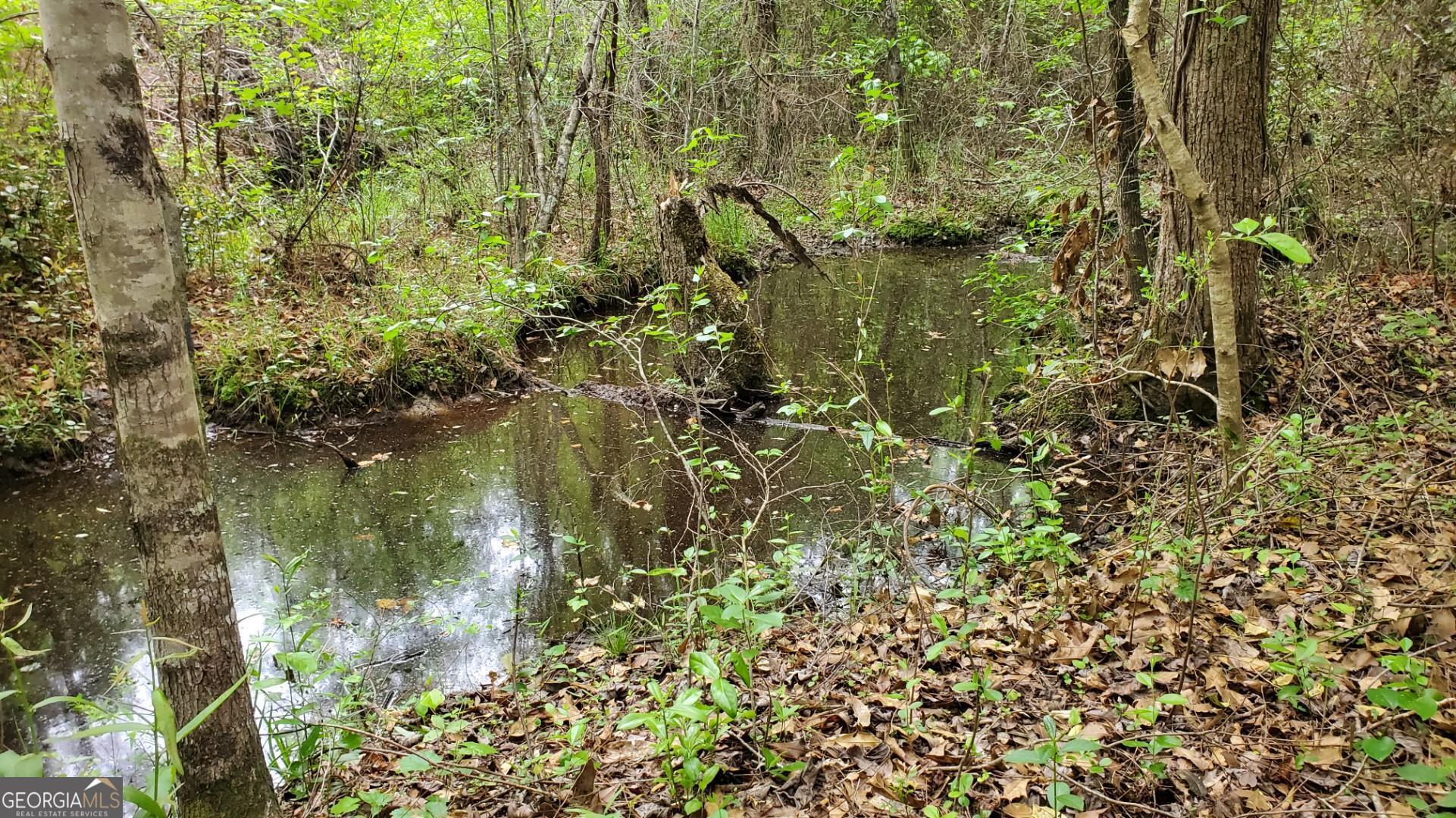 ----- Sr 19 Dublin GA 31021