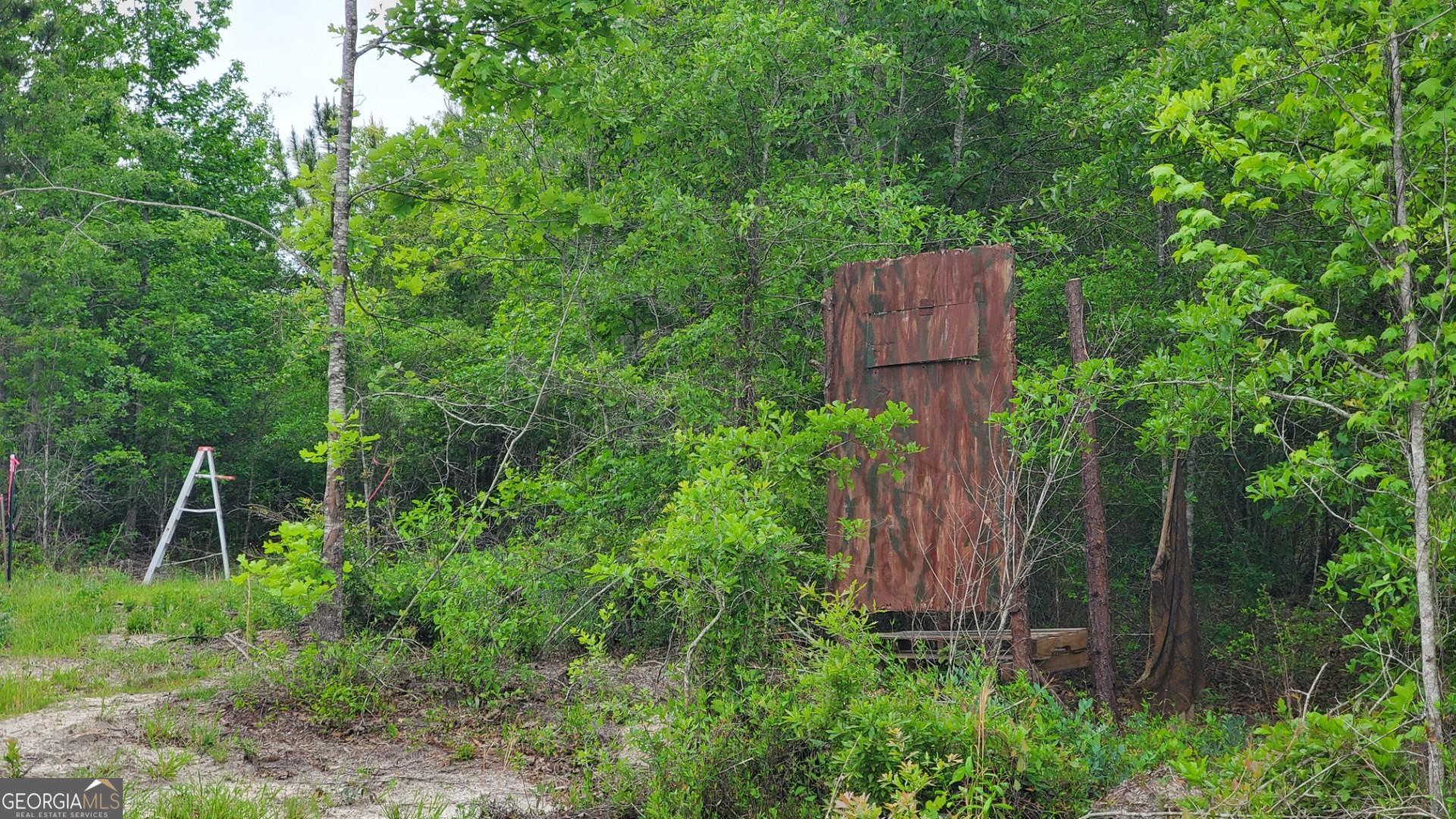 ----- Sr 19 Dublin GA 31021