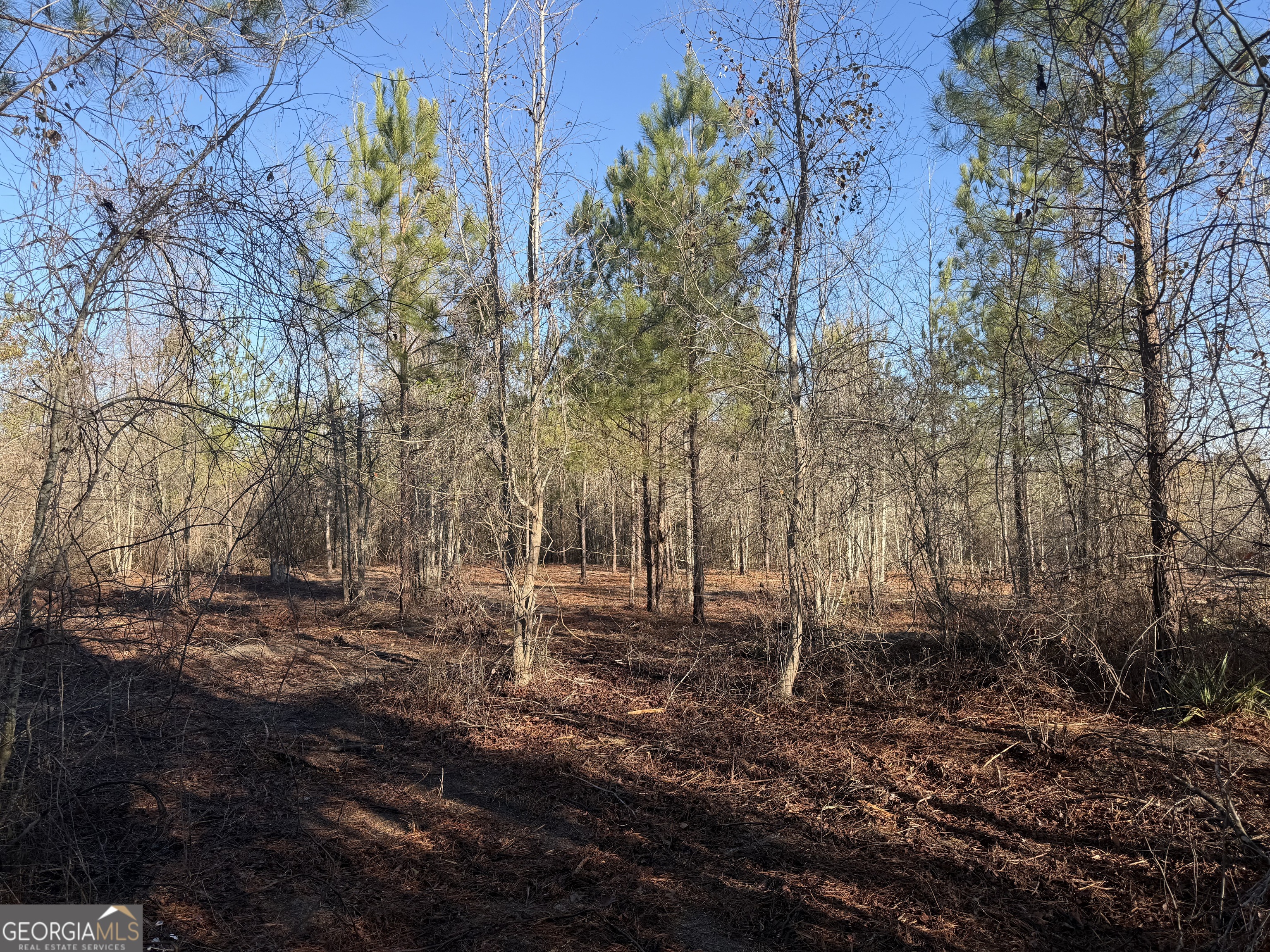----- Sr 19 Dublin GA 31021