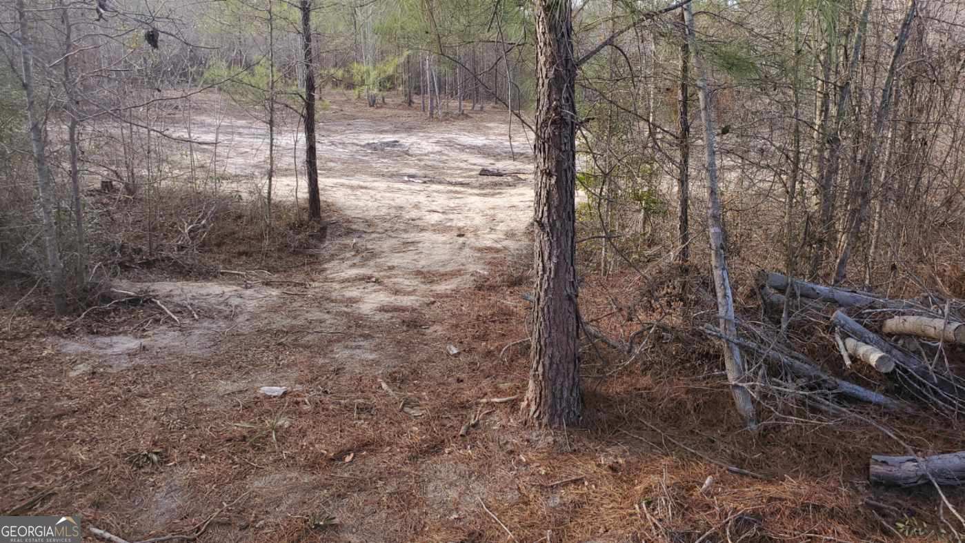 ----- Sr 19 Dublin GA 31021