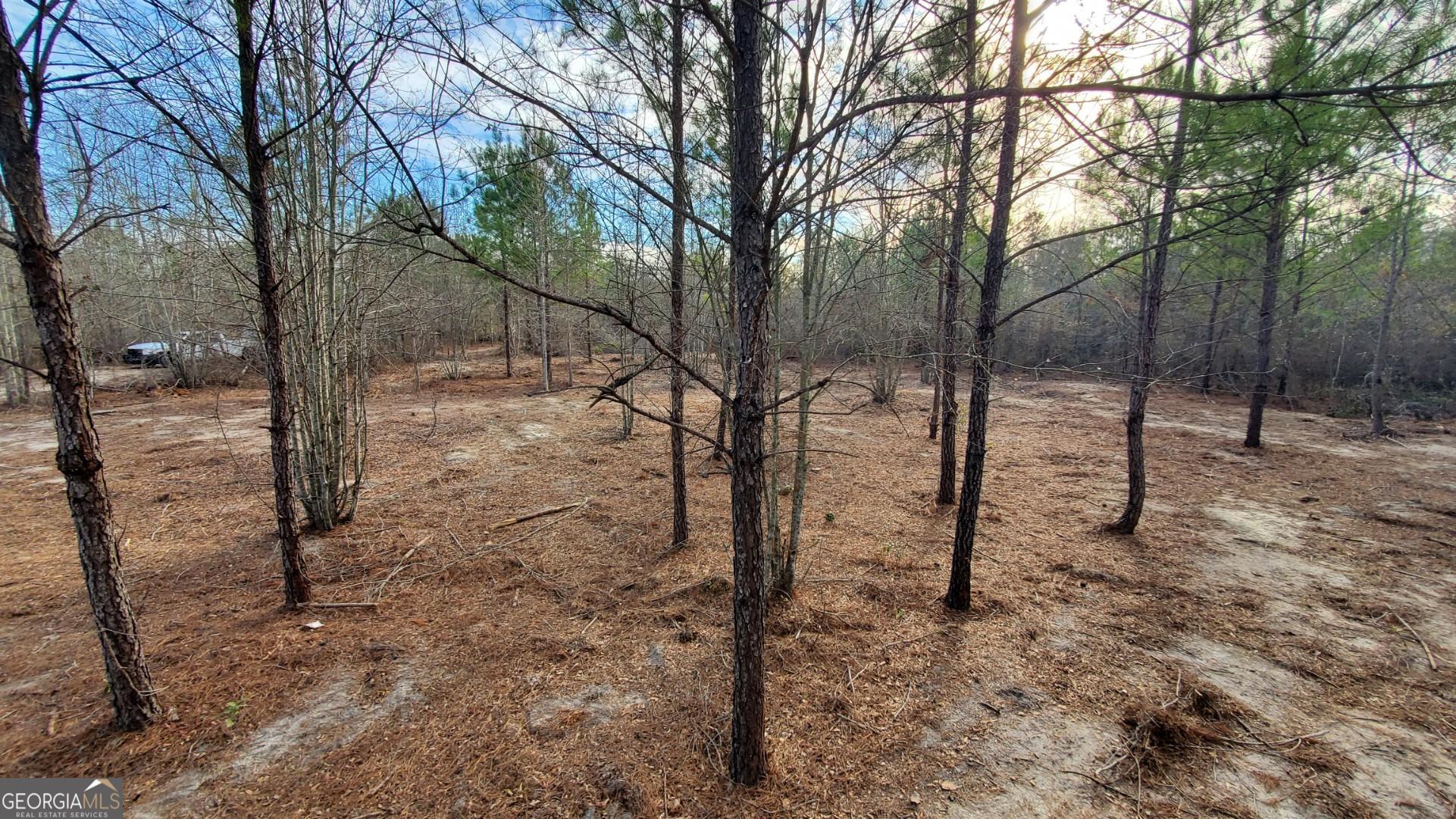 ----- Sr 19 Dublin GA 31021