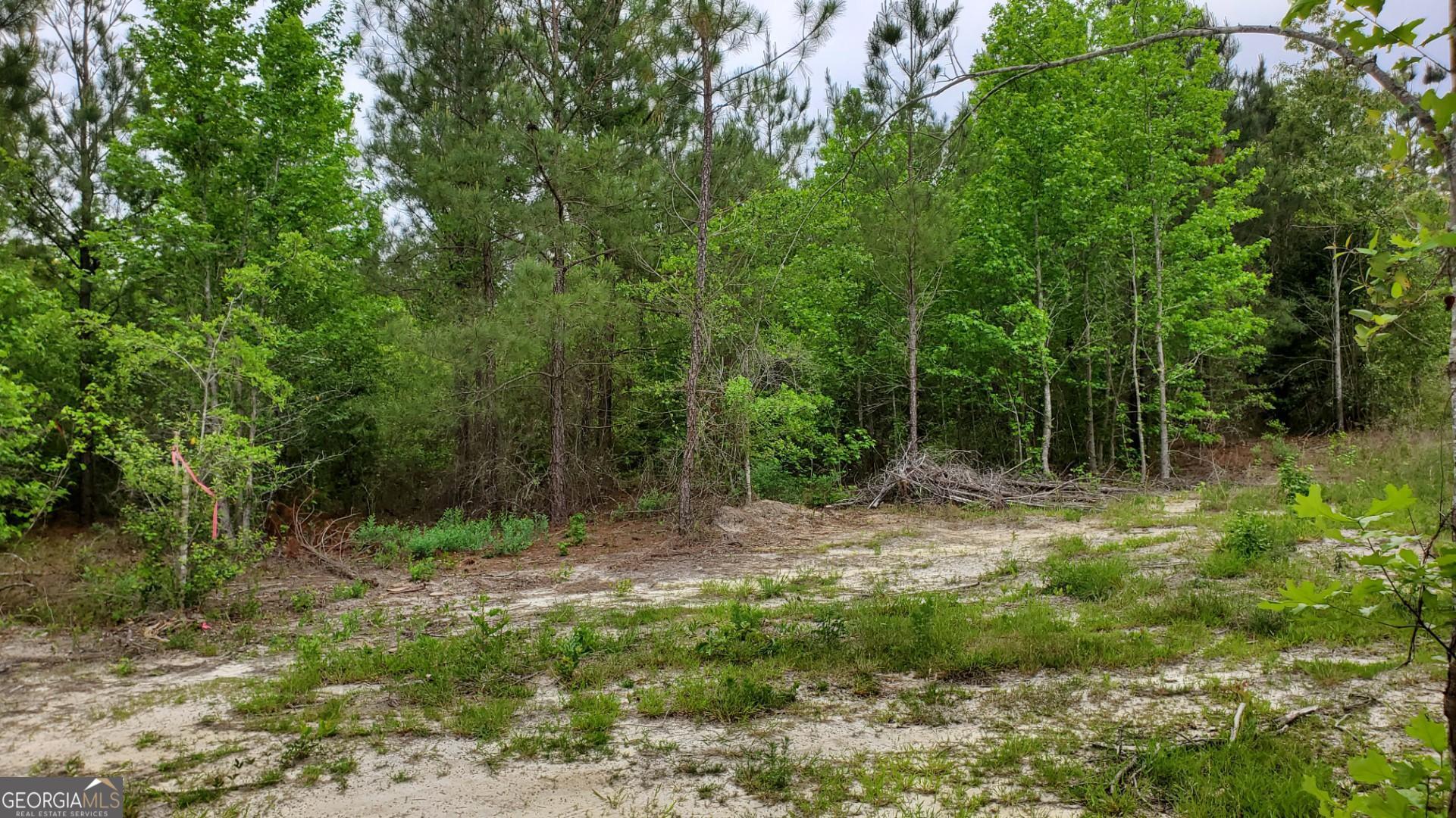 ----- Sr 19 Dublin GA 31021