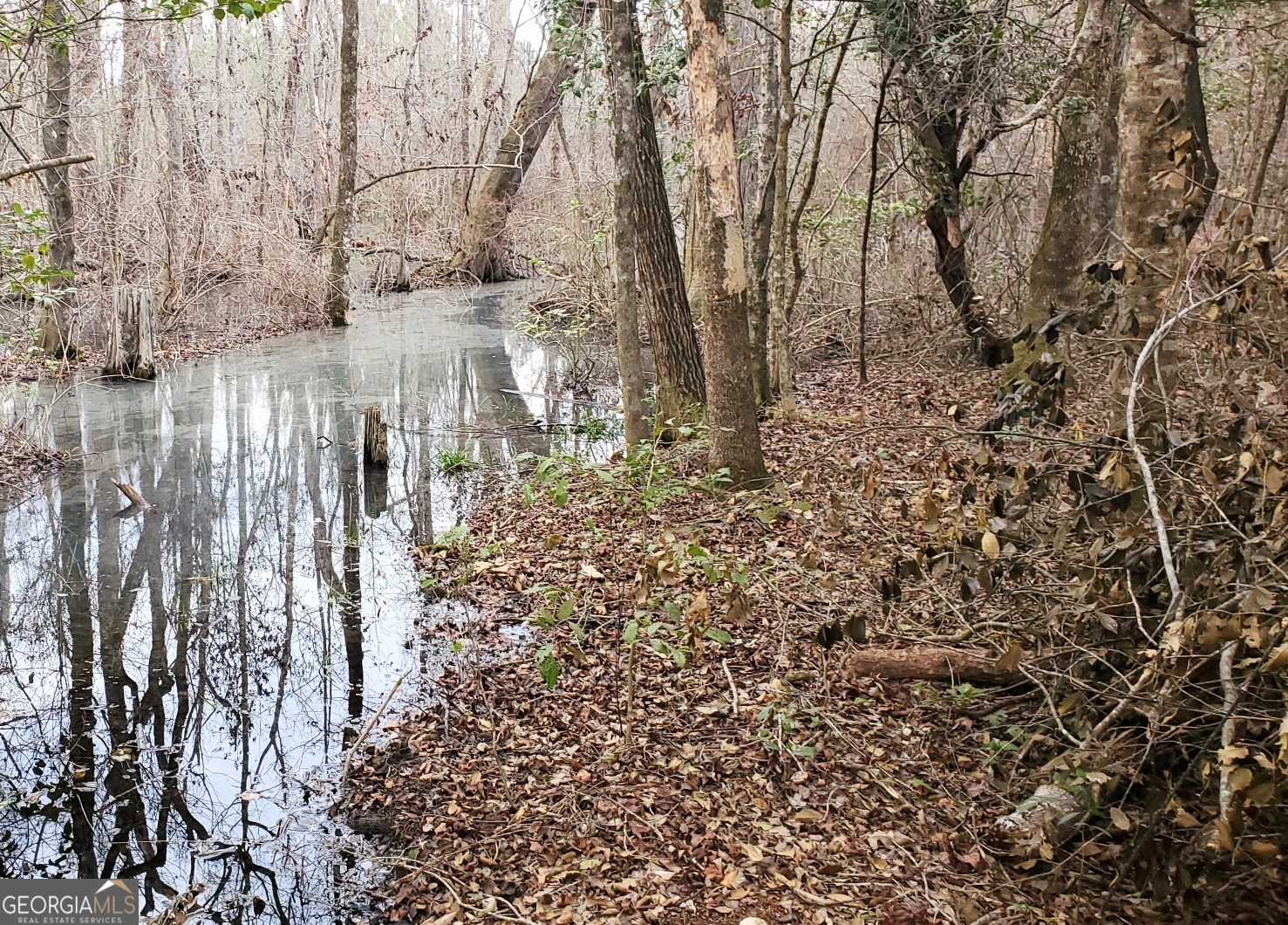 ----- Sr 19 Dublin GA 31021