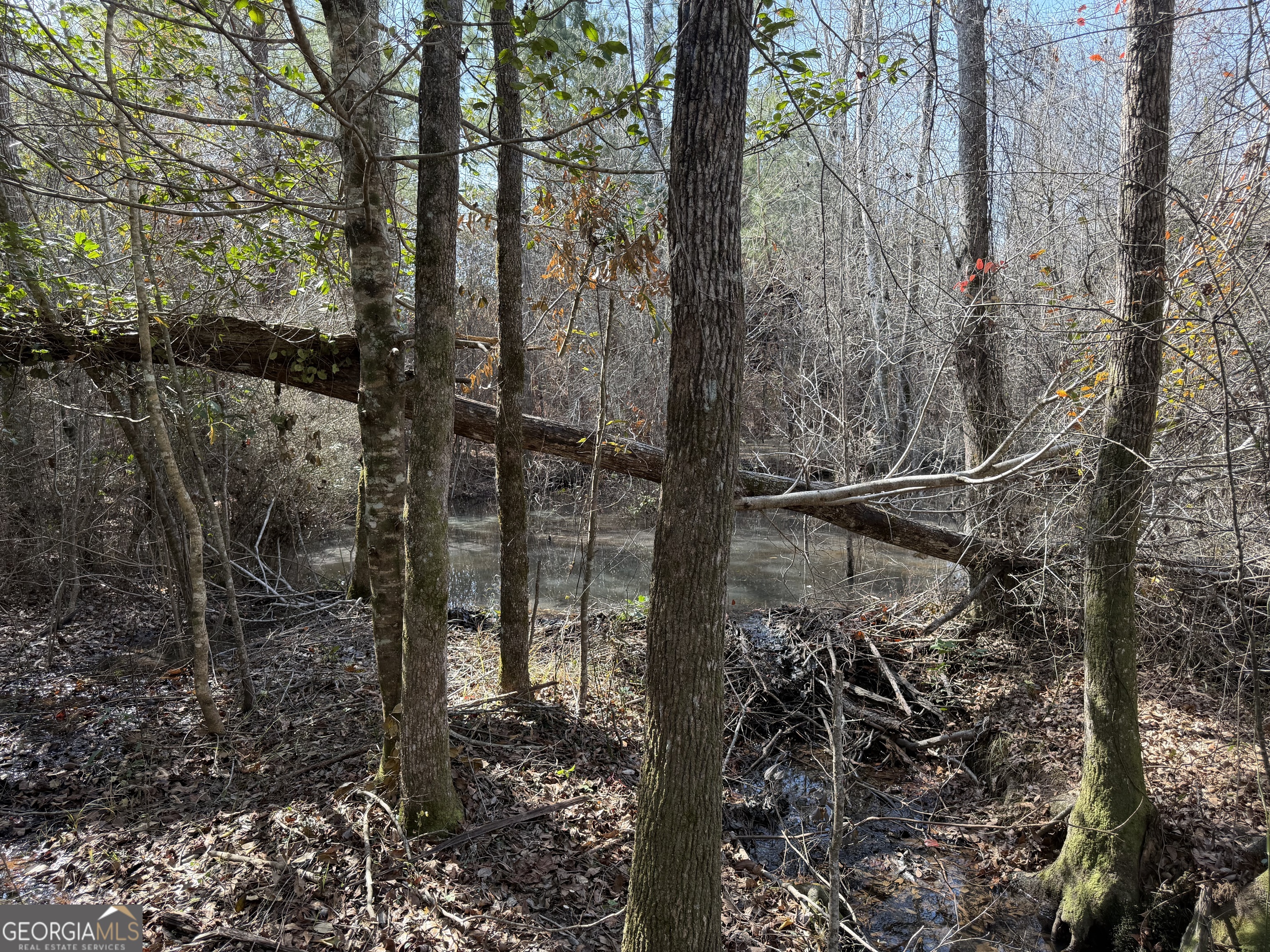 ----- Sr 19 Dublin GA 31021