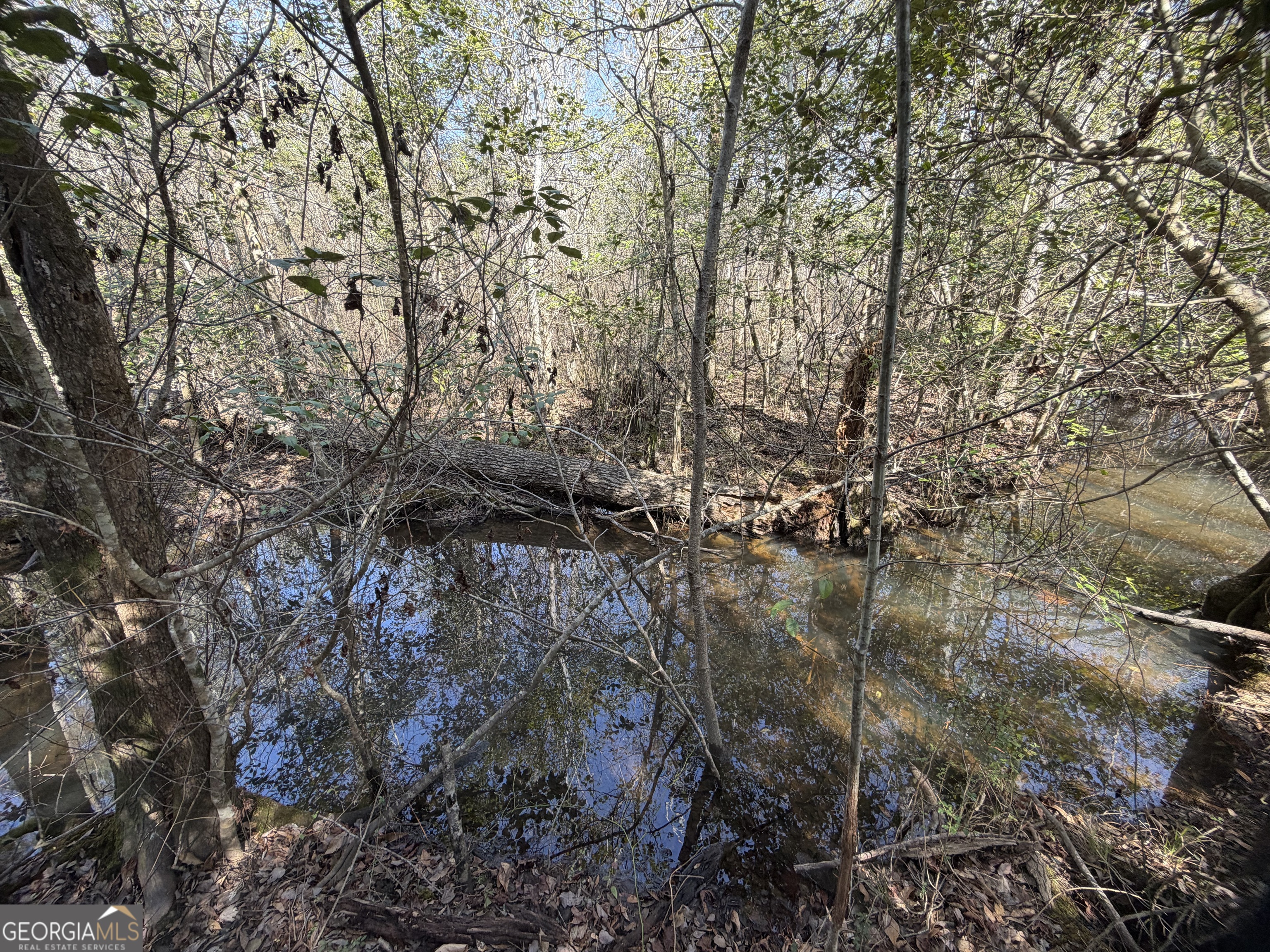 ----- Sr 19 Dublin GA 31021