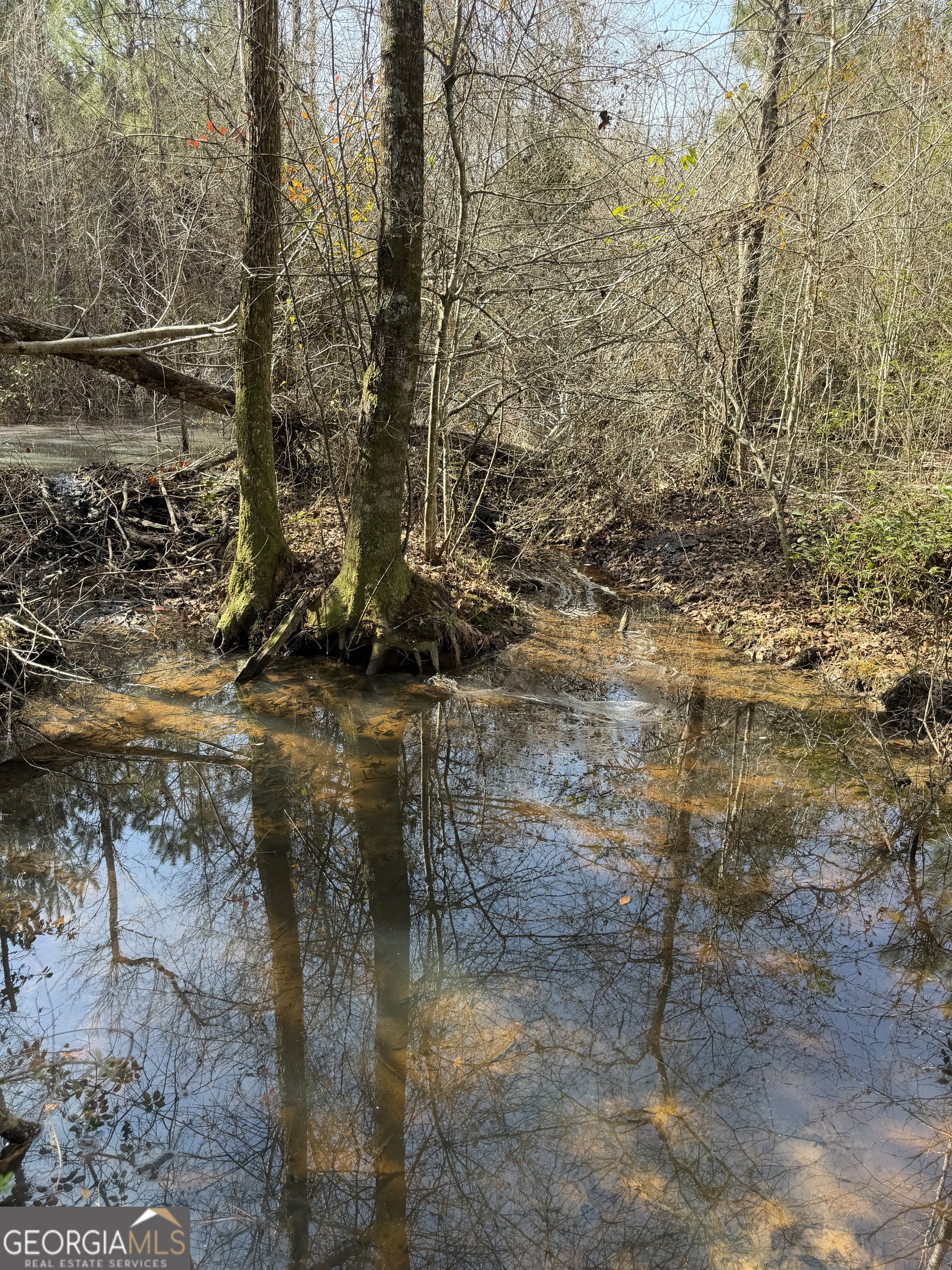 ----- Sr 19 Dublin GA 31021