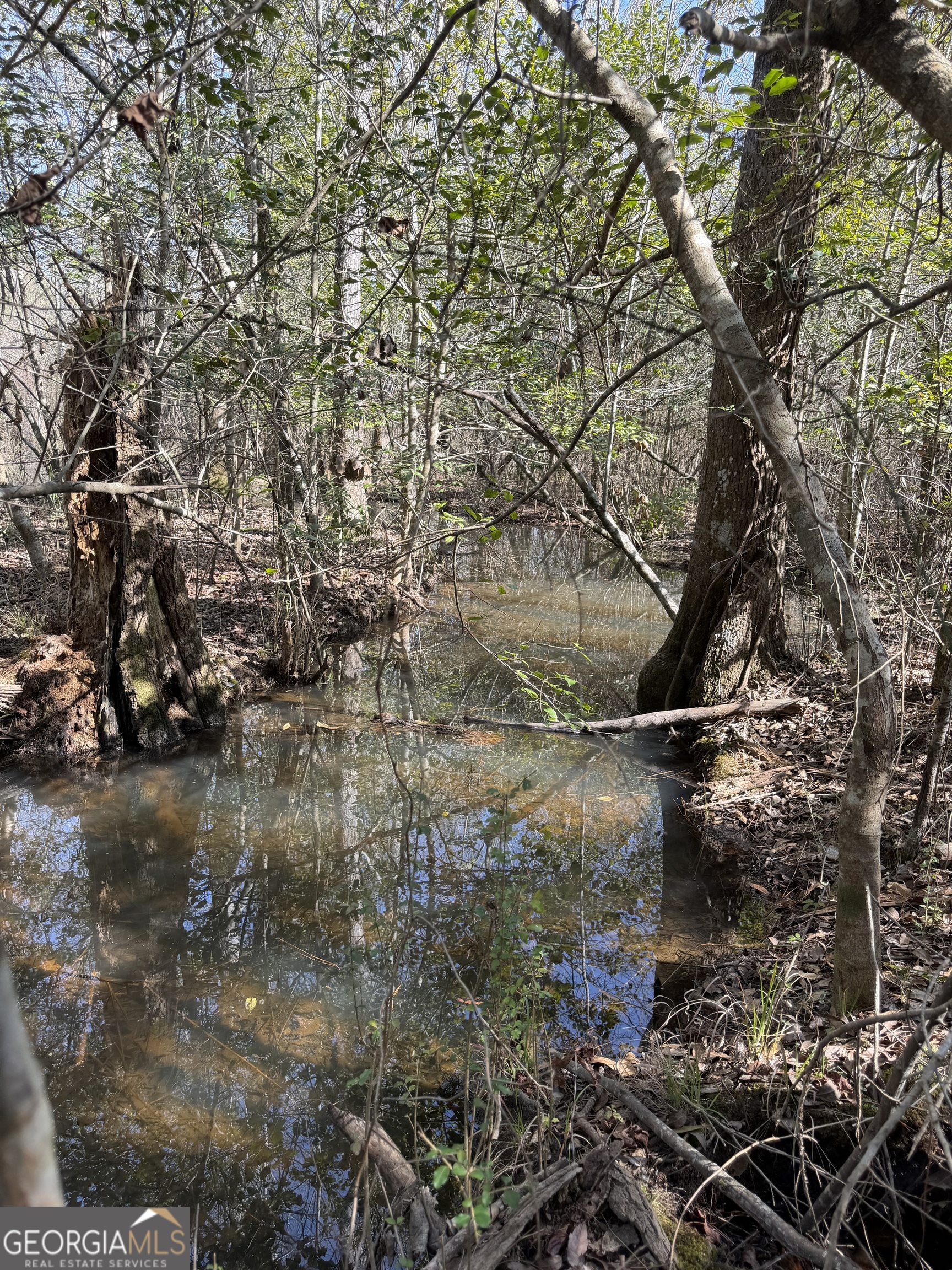 ----- Sr 19 Dublin GA 31021