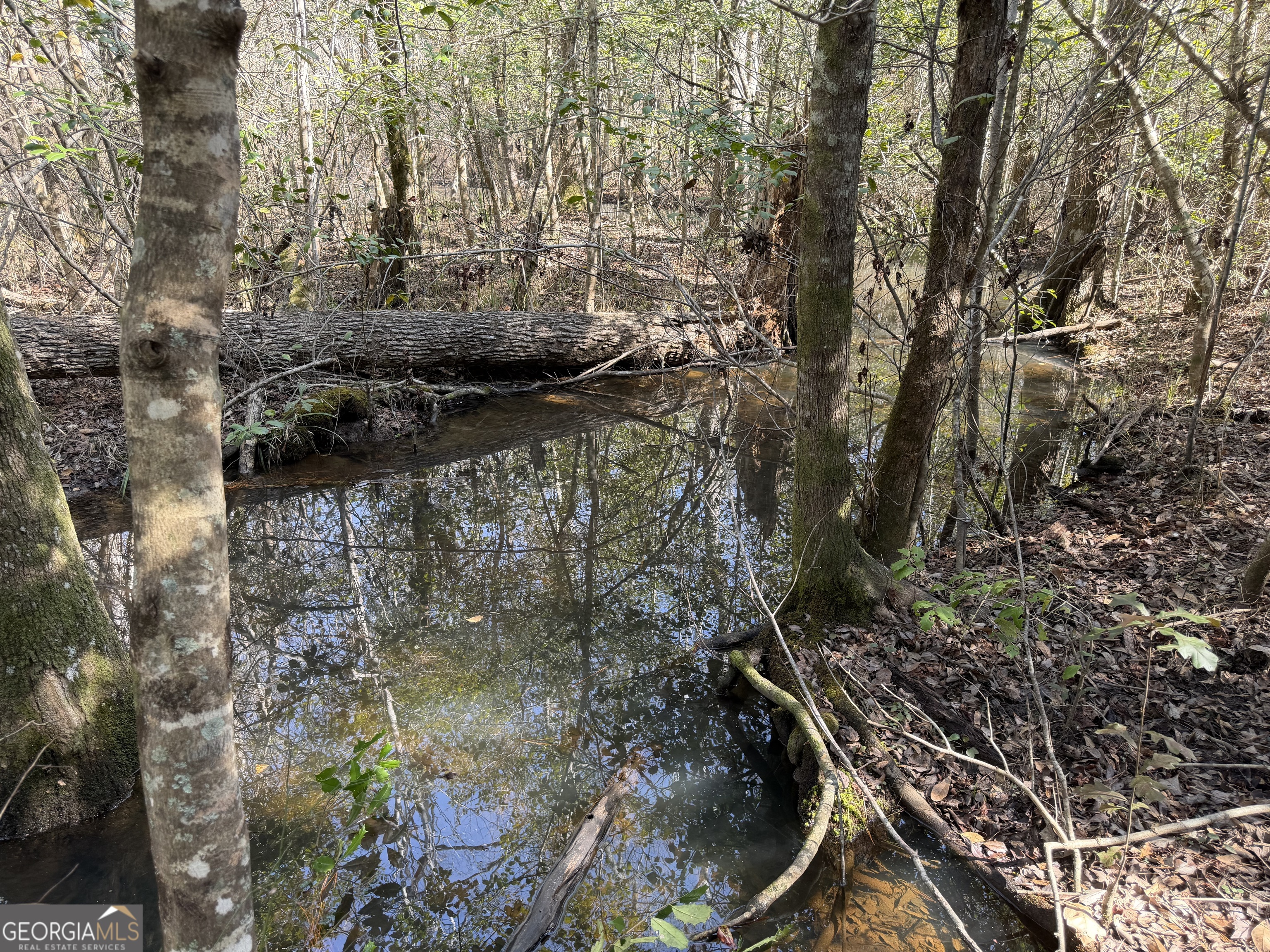 ----- Sr 19 Dublin GA 31021