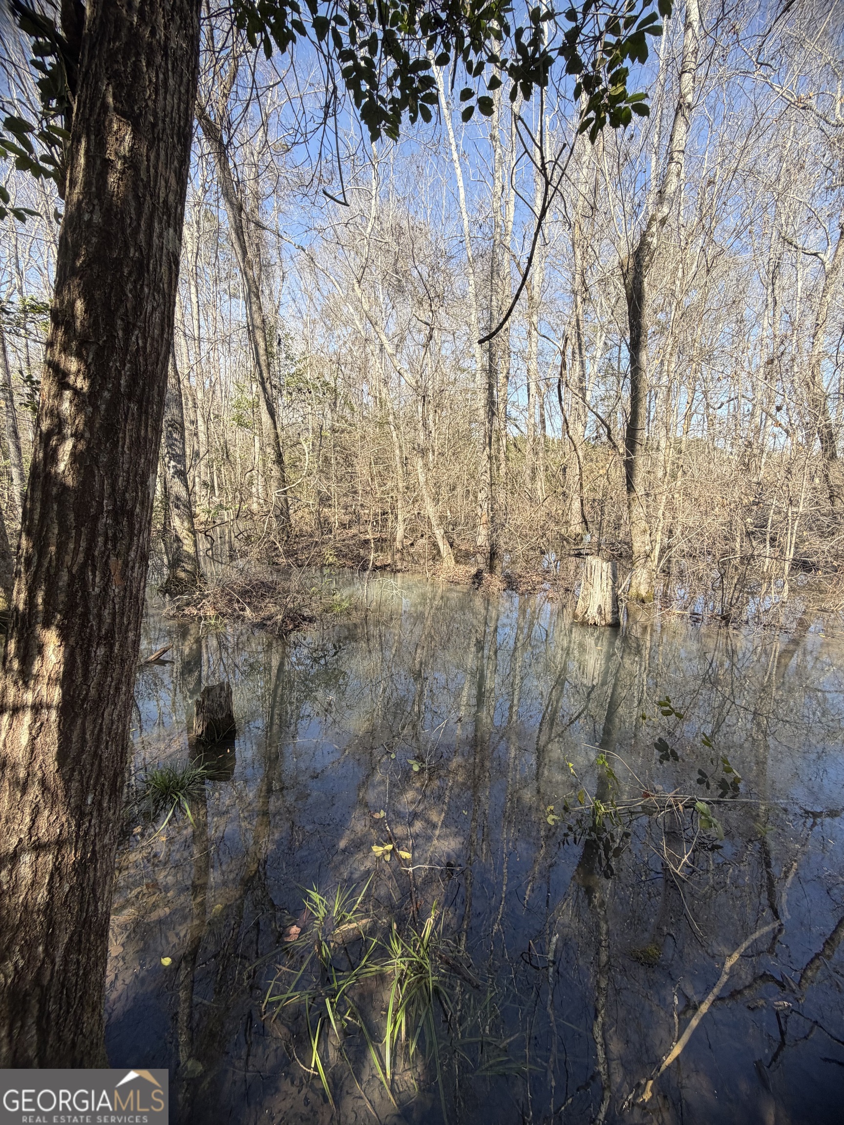 ----- Sr 19 Dublin GA 31021