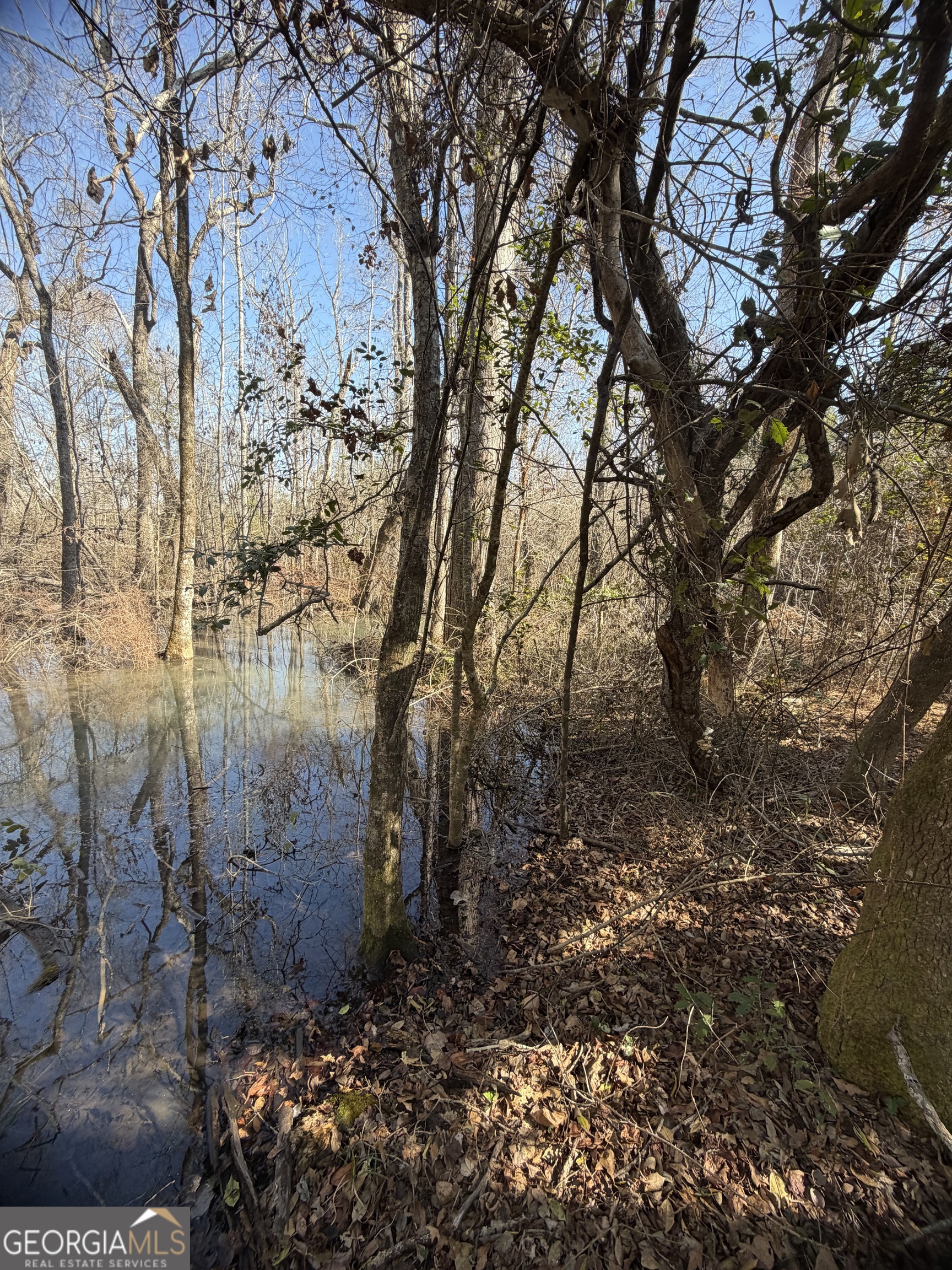 ----- Sr 19 Dublin GA 31021