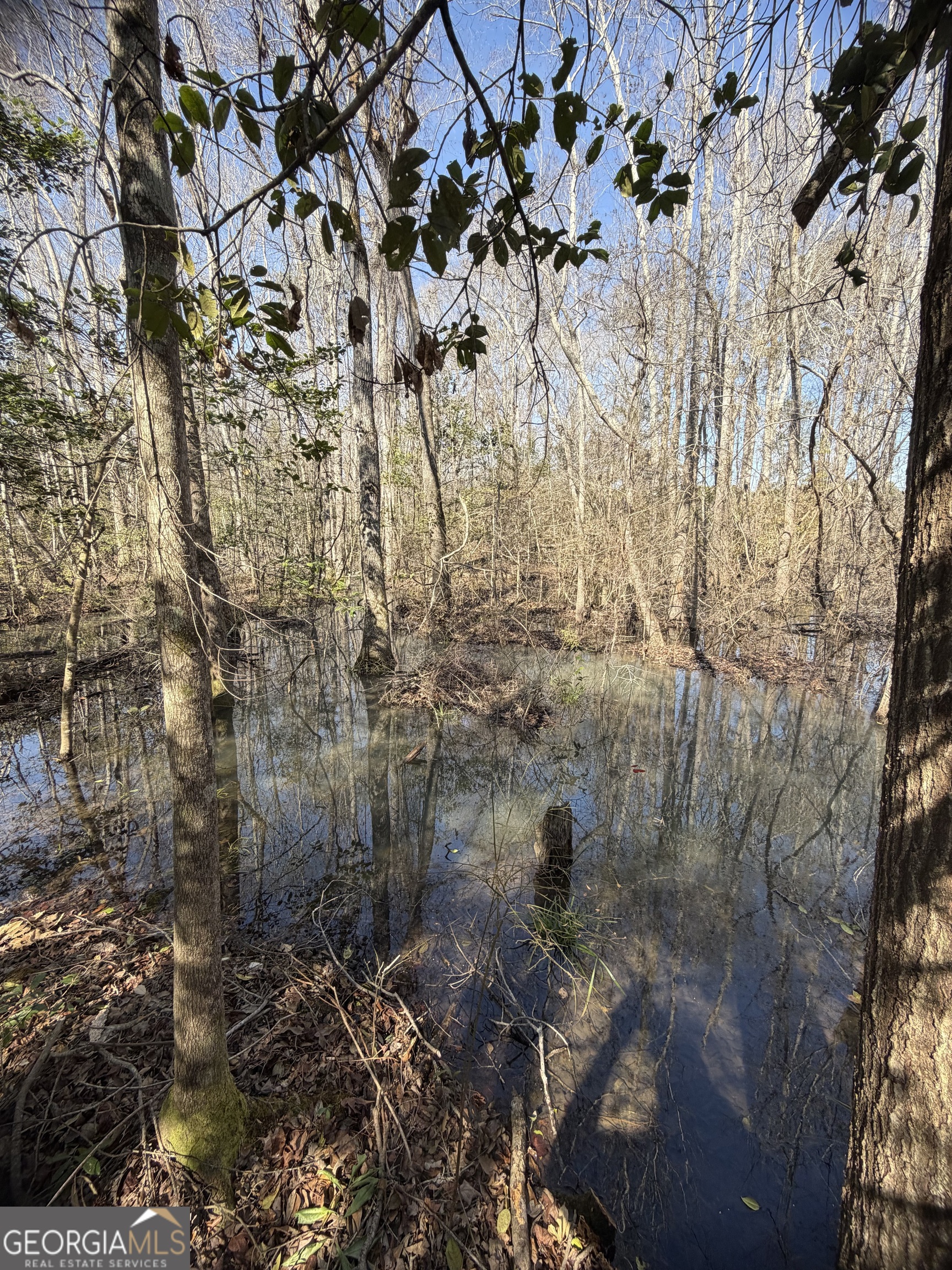 ----- Sr 19 Dublin GA 31021