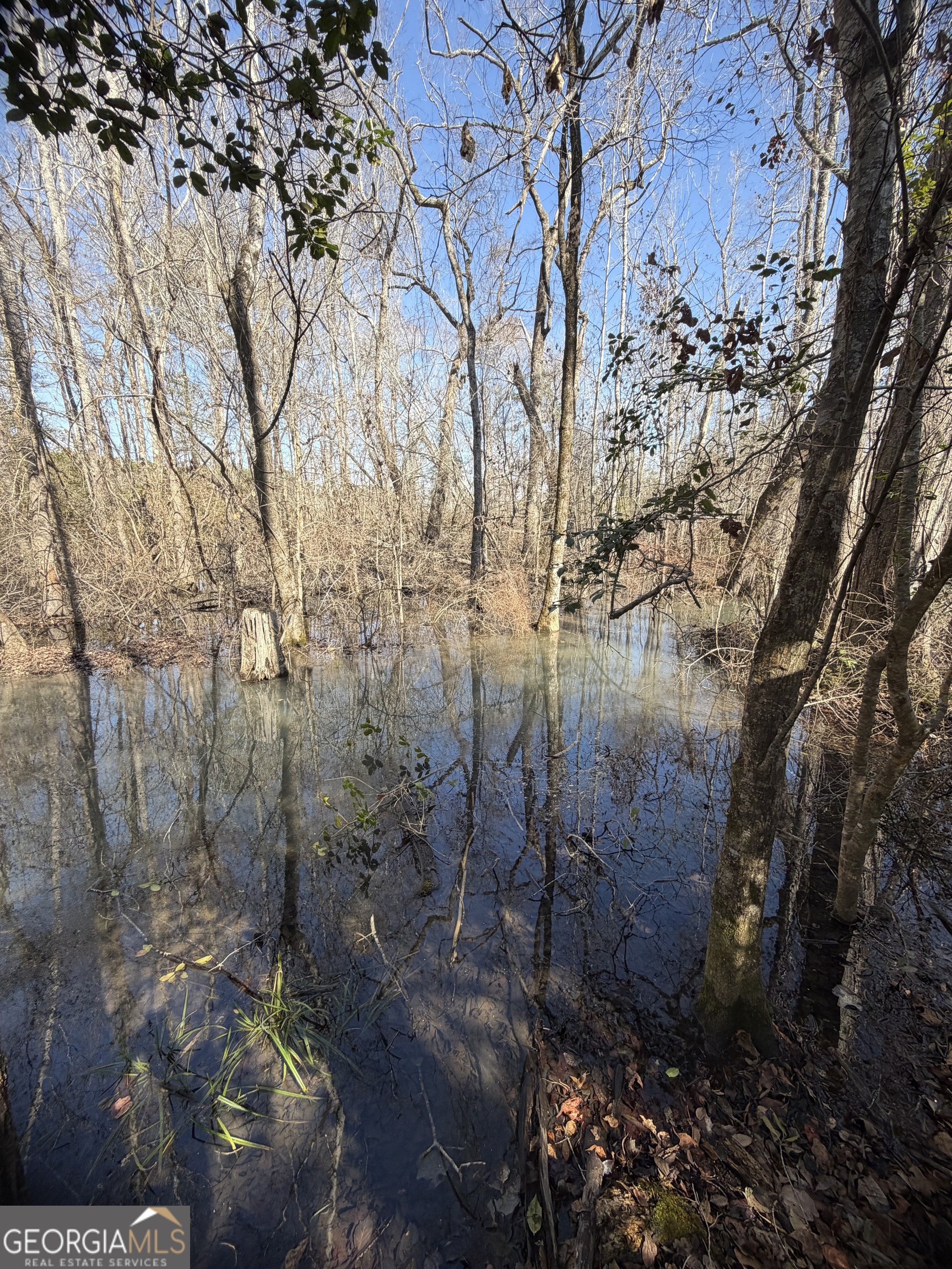 ----- Sr 19 Dublin GA 31021