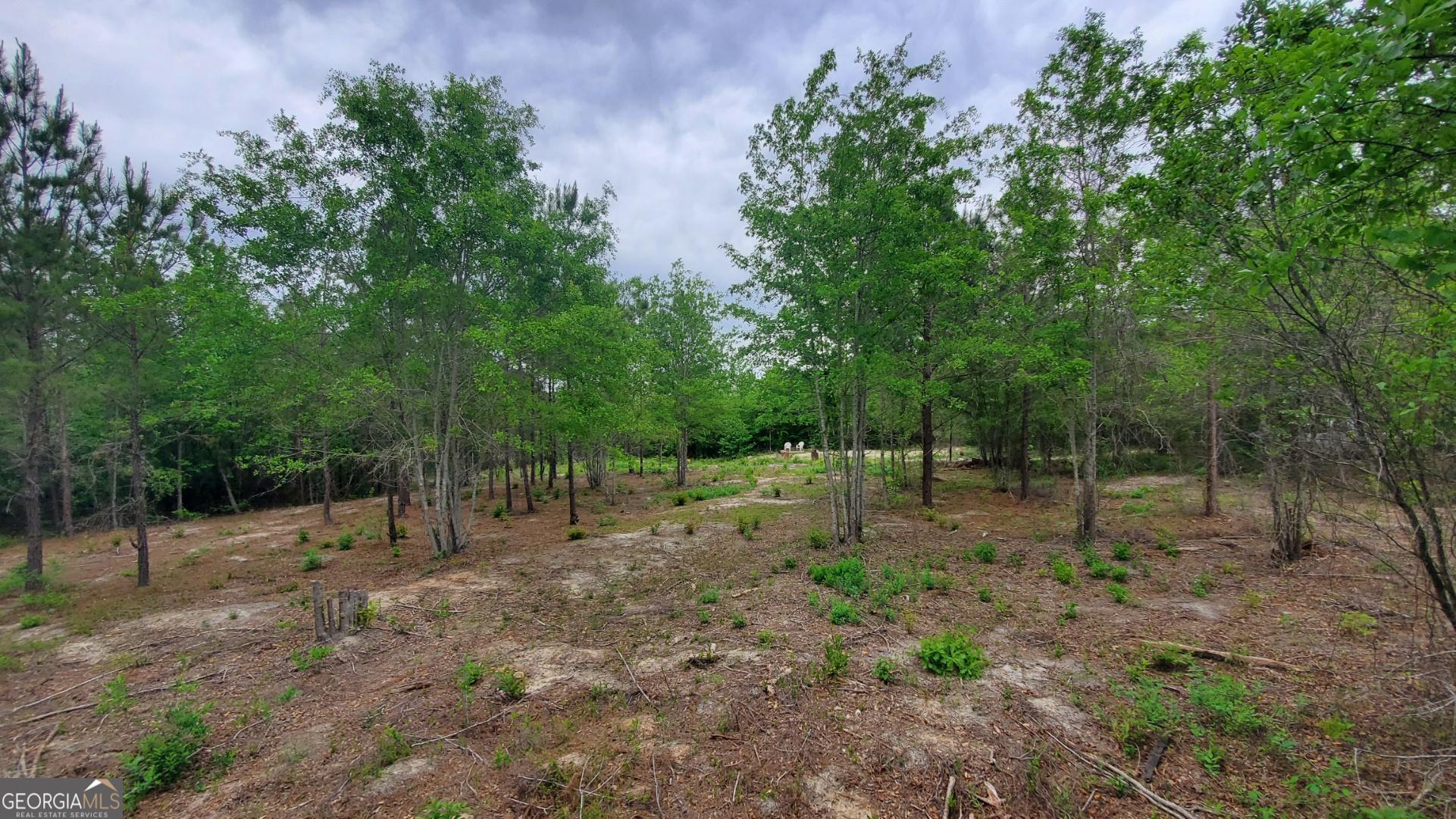 ----- Sr 19 Dublin GA 31021