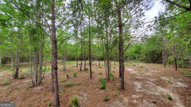 ----- Sr 19 Dublin GA 31021