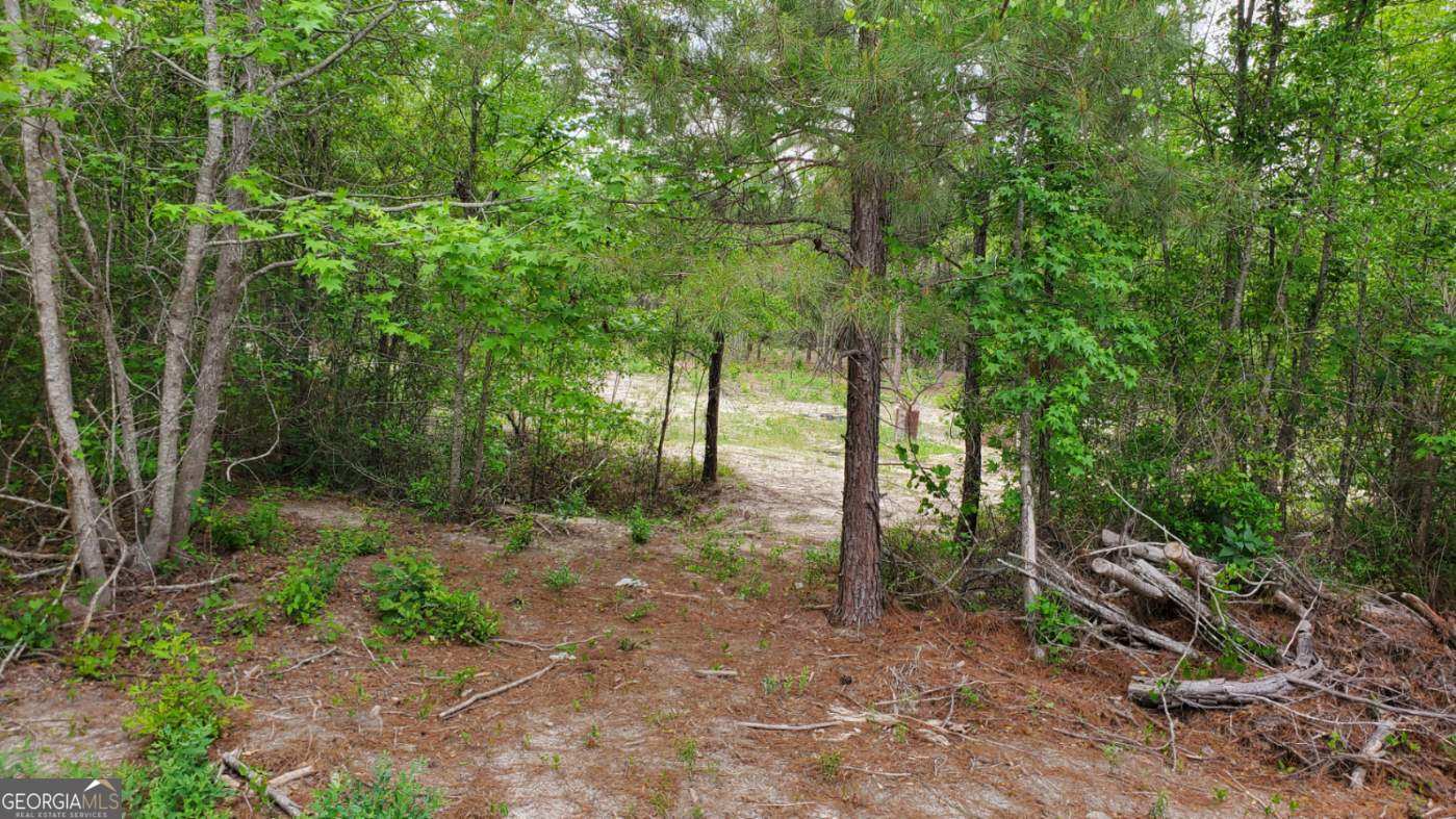 ----- Sr 19 Dublin GA 31021