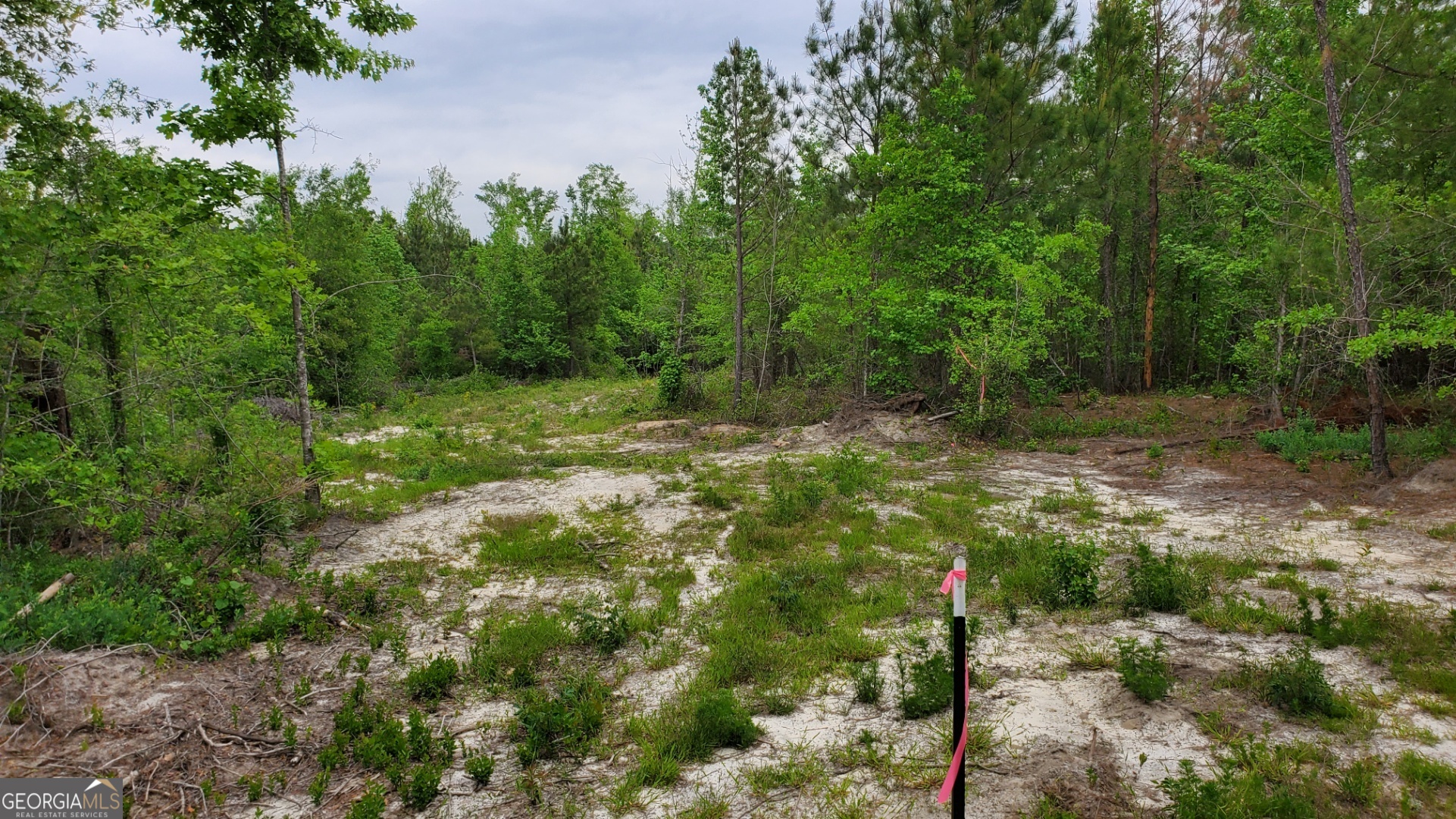 ----- Sr 19 Dublin GA 31021