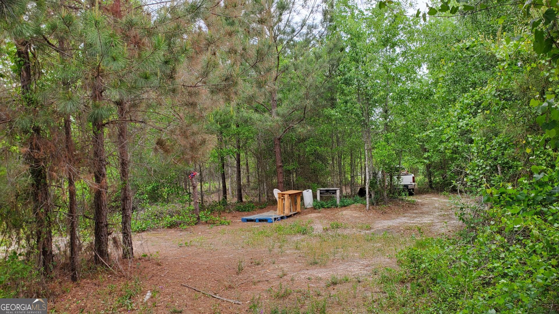 ----- Sr 19 Dublin GA 31021