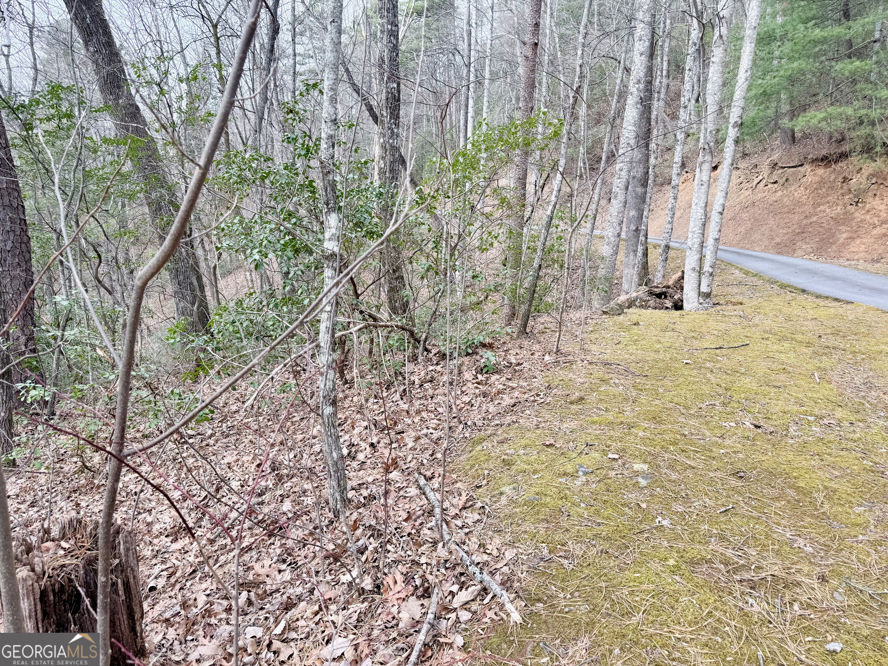 0 Monarch Lane Clayton GA 30525
