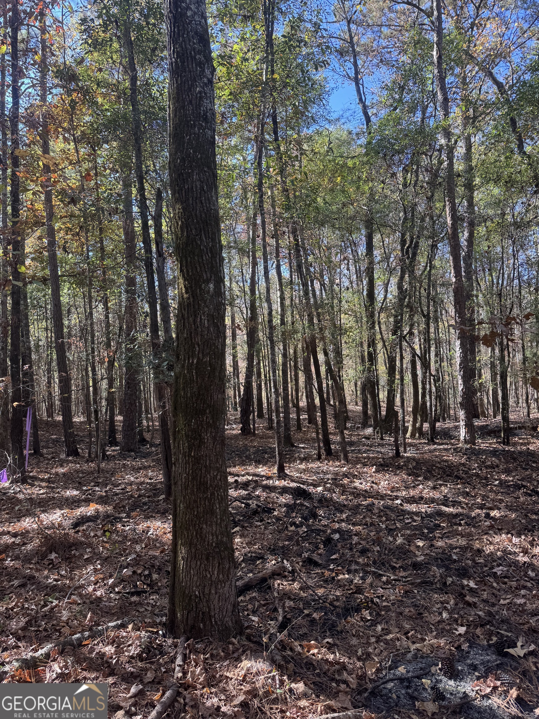 157 W Drummond Road West Point GA 31833
