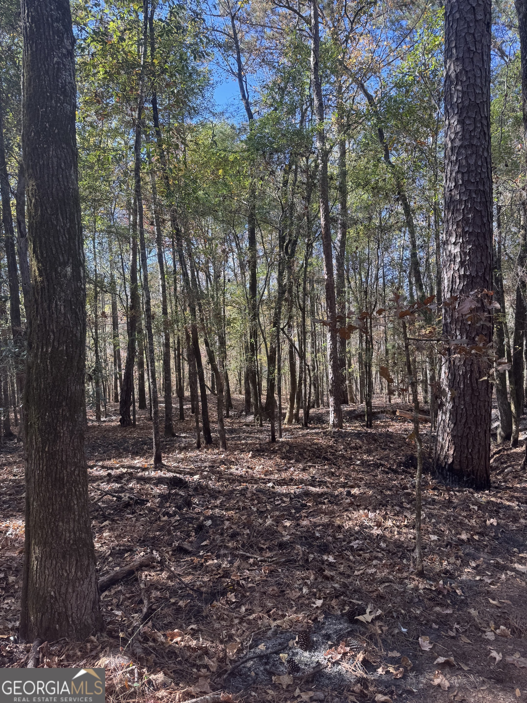 157 W Drummond Road West Point GA 31833
