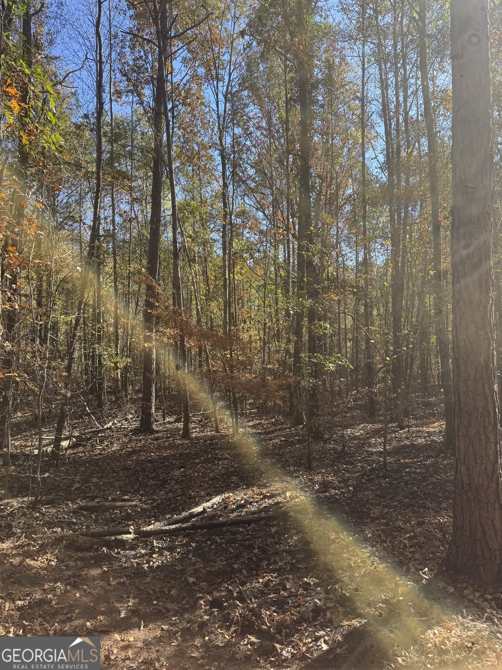 157 W Drummond Road West Point GA 31833
