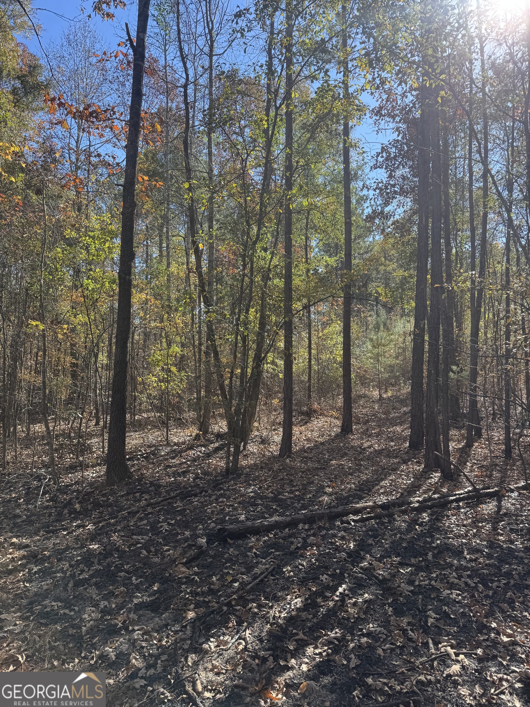 157 W Drummond Road West Point GA 31833