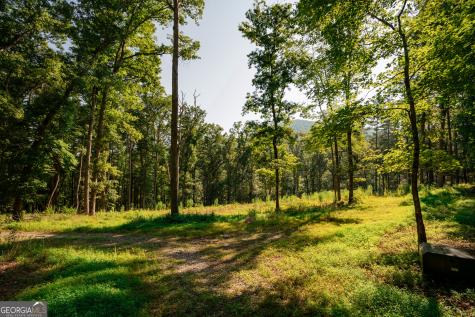 0 Old Rock Creek Road Blue Ridge GA 30513