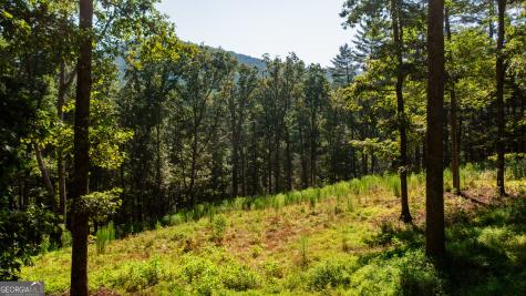 0 Old Rock Creek Road Blue Ridge GA 30513