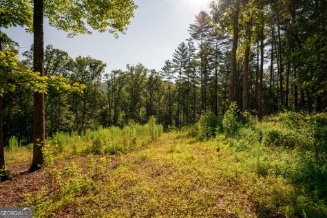 0 Old Rock Creek Road Blue Ridge GA 30513