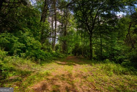 0 Old Rock Creek Road Blue Ridge GA 30513