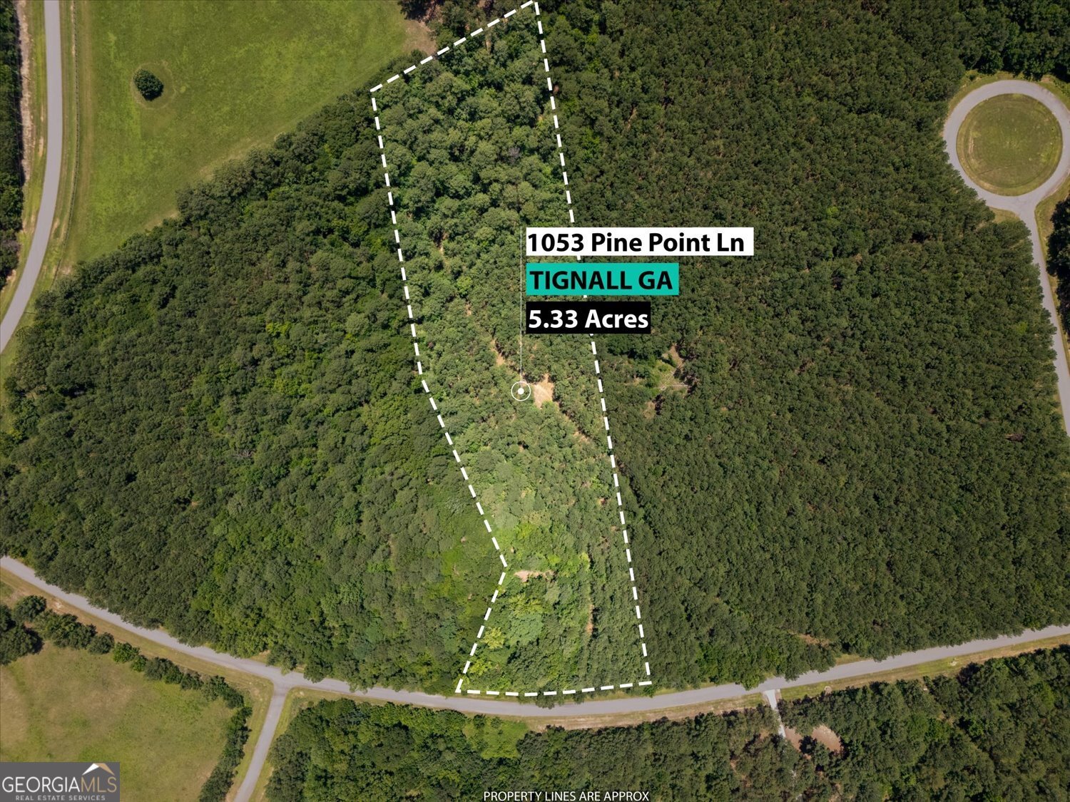 1053 Pine Point Lane Tignall GA 30668
