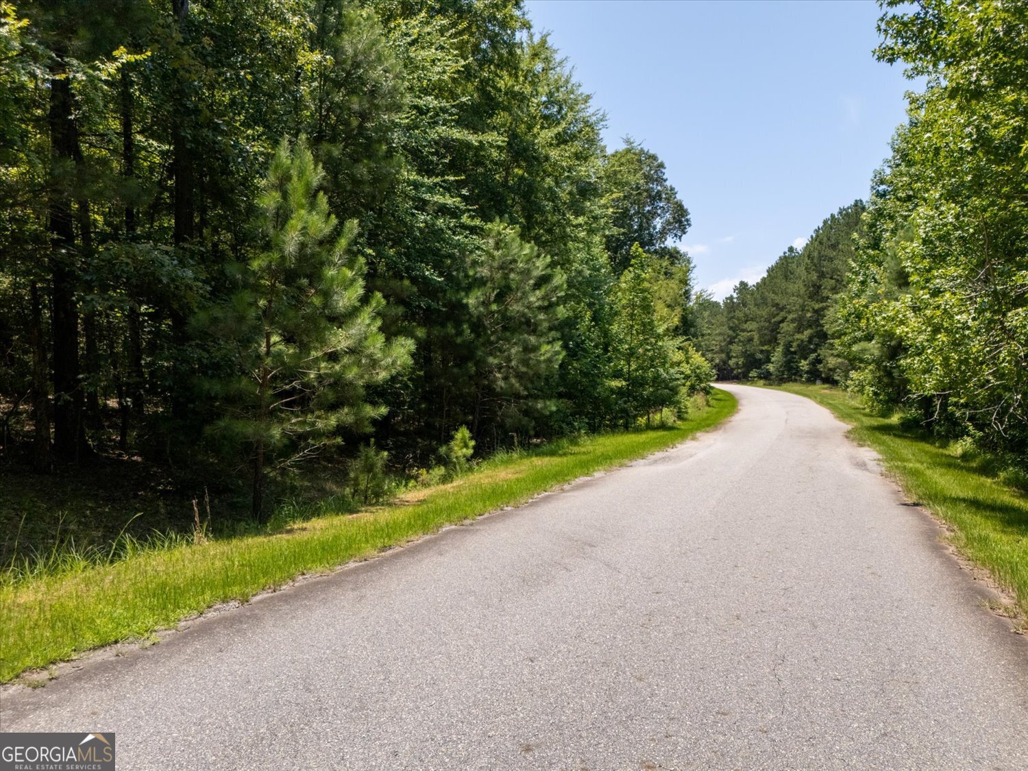1053 Pine Point Lane Tignall GA 30668