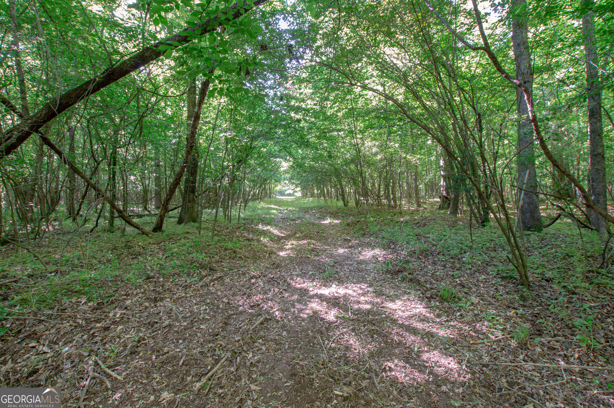 0 Apt-to-miss Road Monticello GA 31064